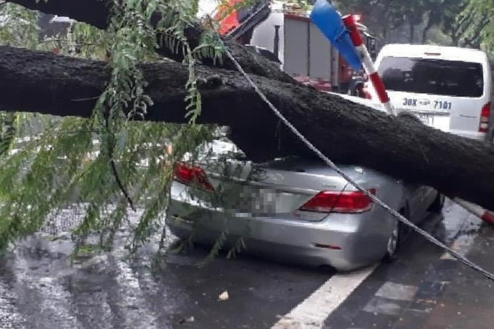 Cay xanh bat goc, de bep xe hop o Ha Noi hinh anh