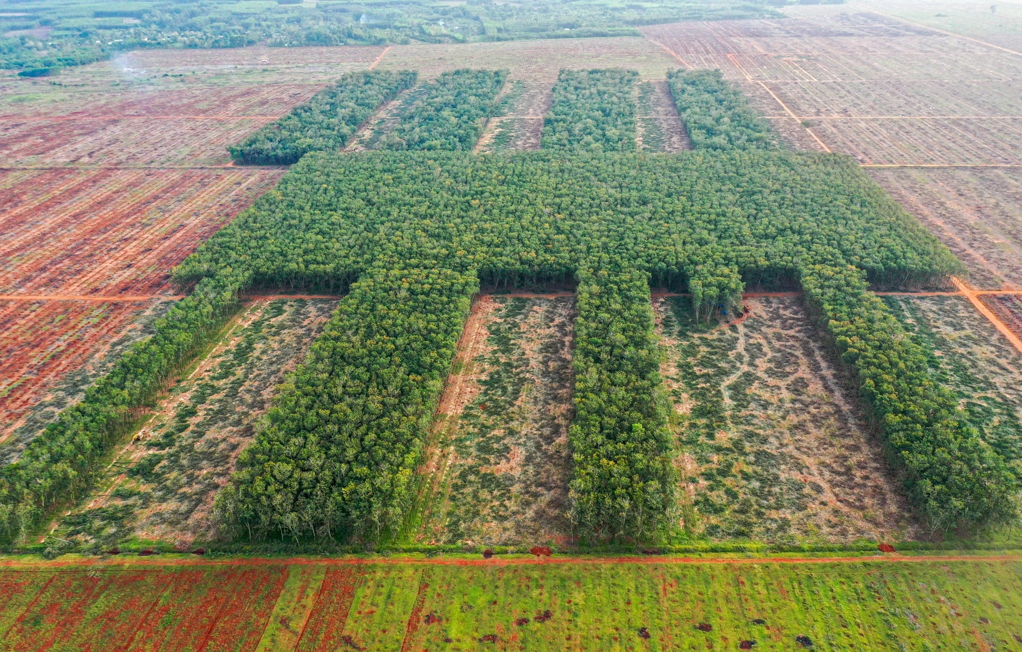 Khi nao xong san bay Long Thanh anh 1