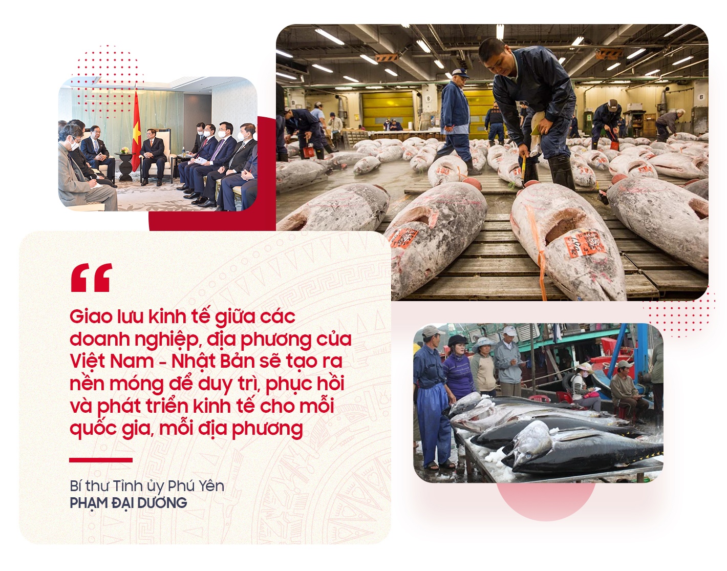 Chuyen tham Nhat Ban cua Thu tuong Pham Minh Chinh anh 4