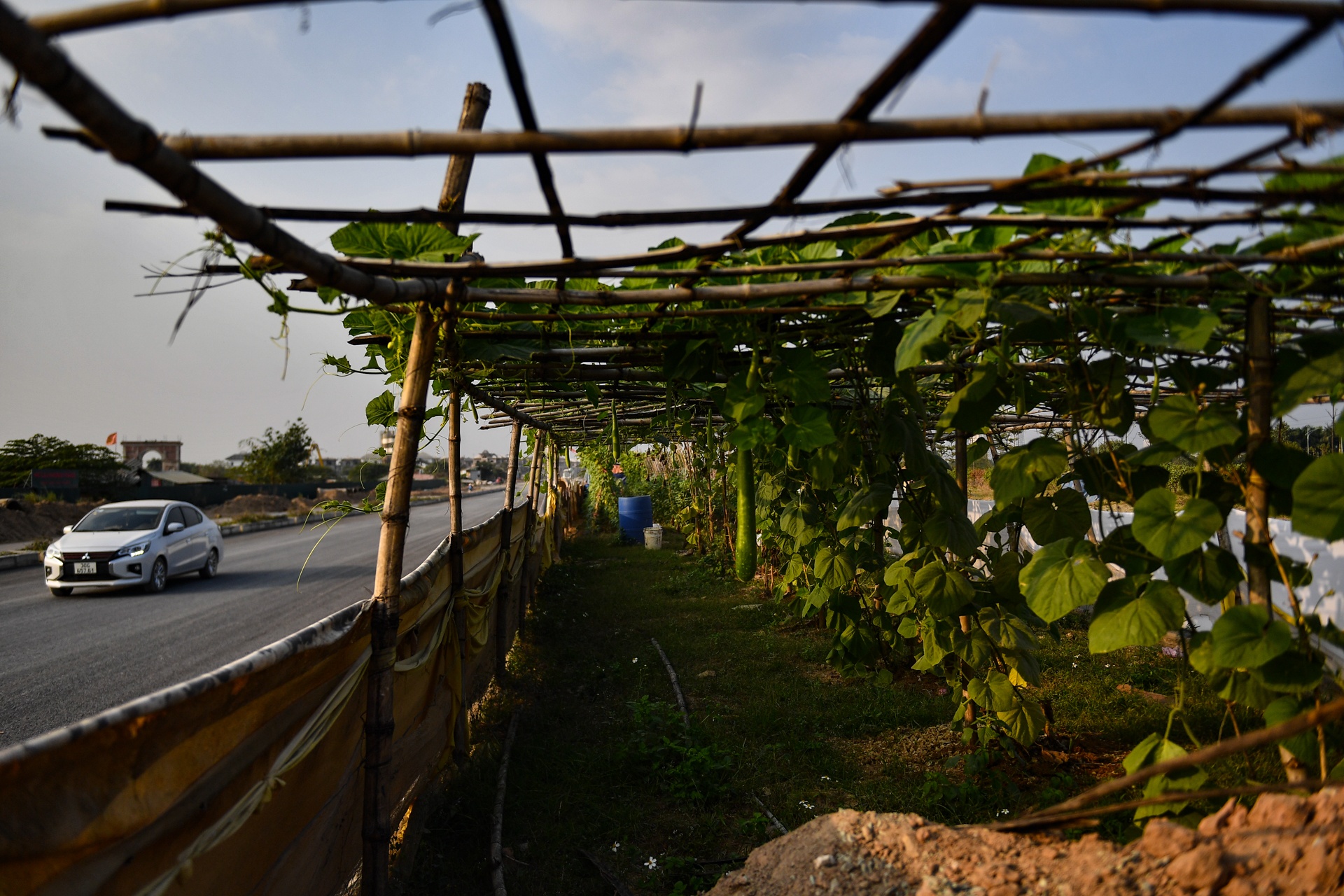 Vanh dai 35 cham tien do anh 14