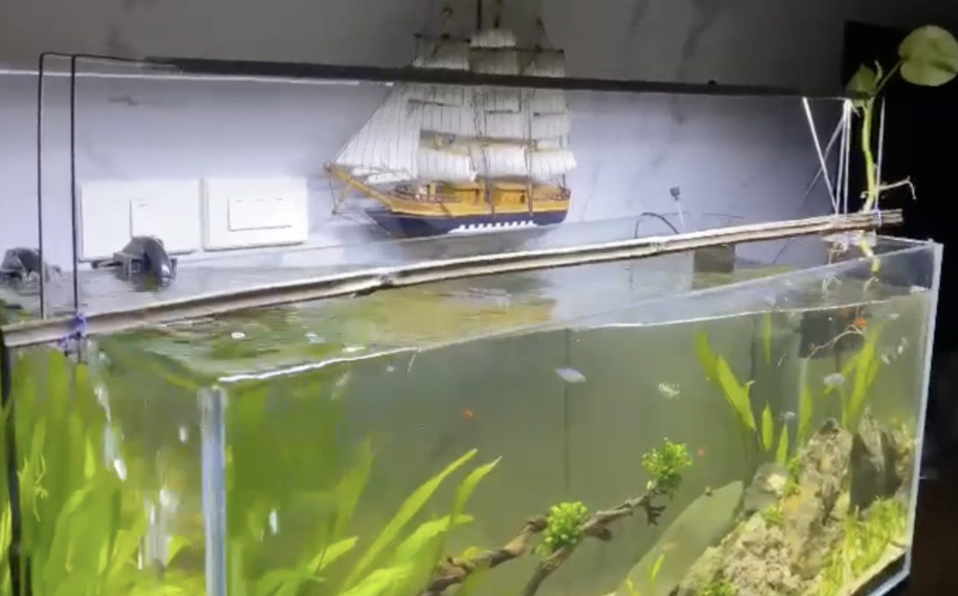 Quat tran lac lu, be ca song sanh vi du chan dong dat hinh anh