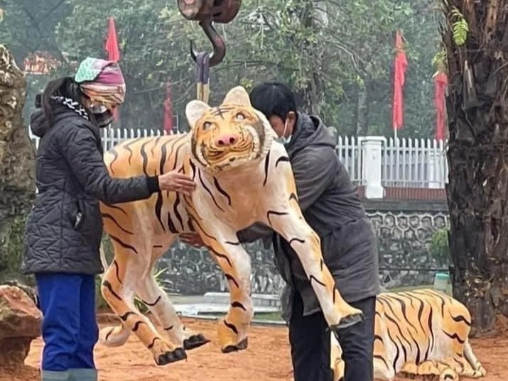 Dan ho 'gay nhom, tieu tuy' duoc mang di chinh sua hinh anh