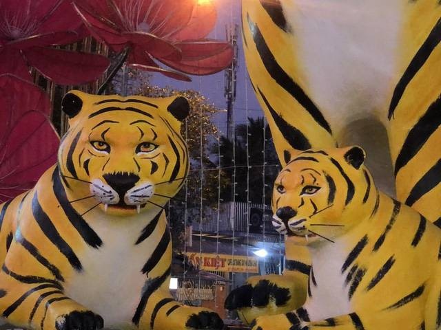 Dan ho di dang anh 4