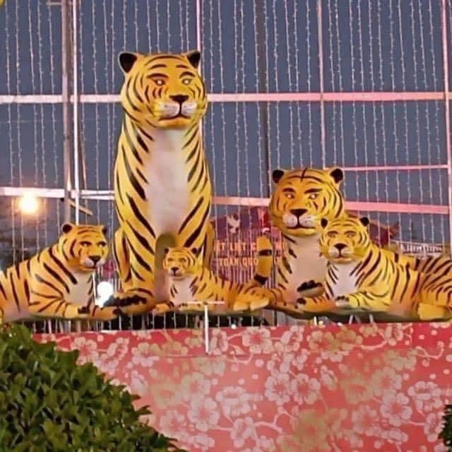 Dan ho di dang anh 3