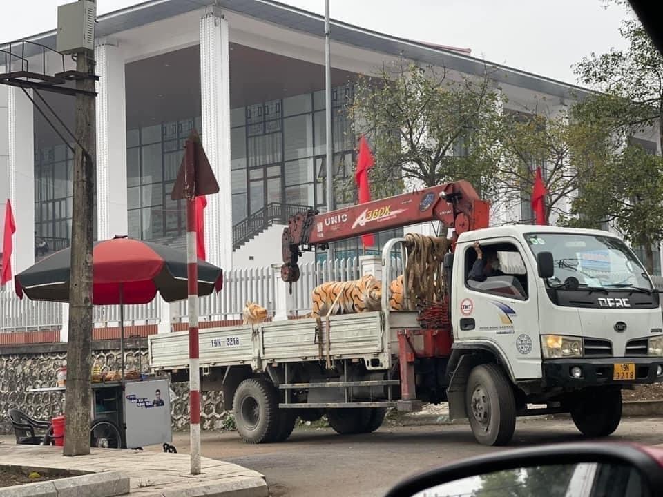 Dan ho di dang anh 1