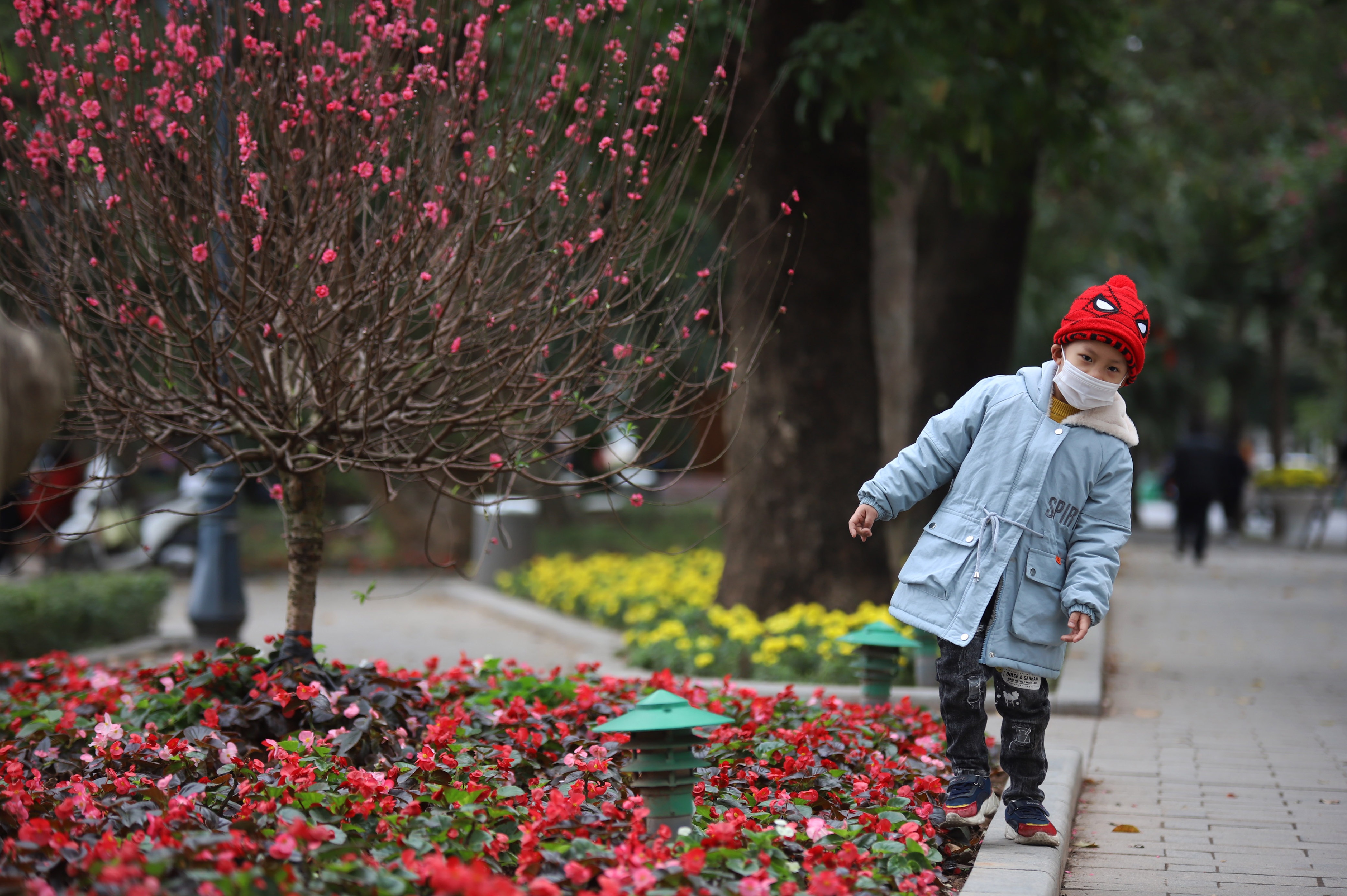 Ha Noi chieu cuoi nam anh 8