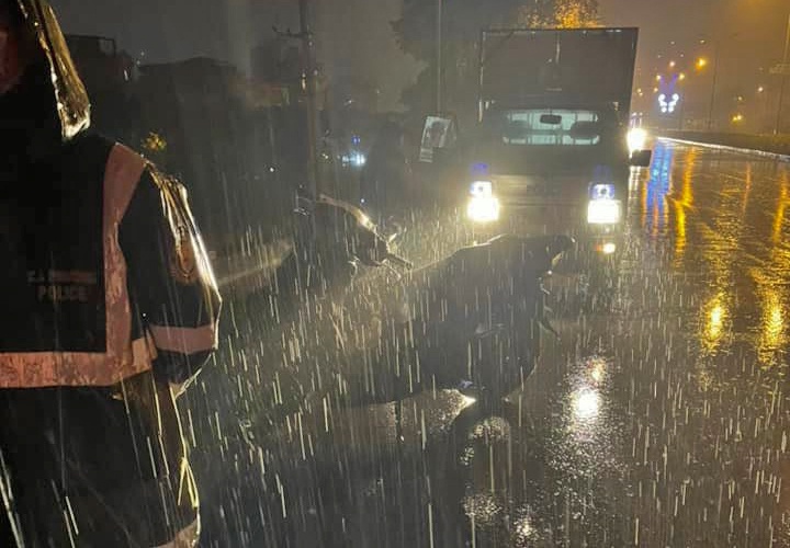 Truy tim tai xe xe ban tai tong trung 3 co gai roi bo chay hinh anh