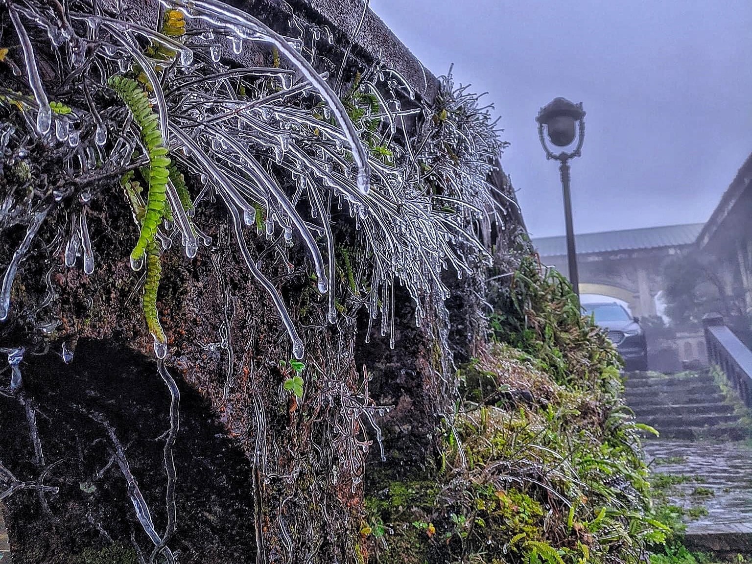 Mau Son -0,8 do C, mien Bac chim trong ret hai hinh anh