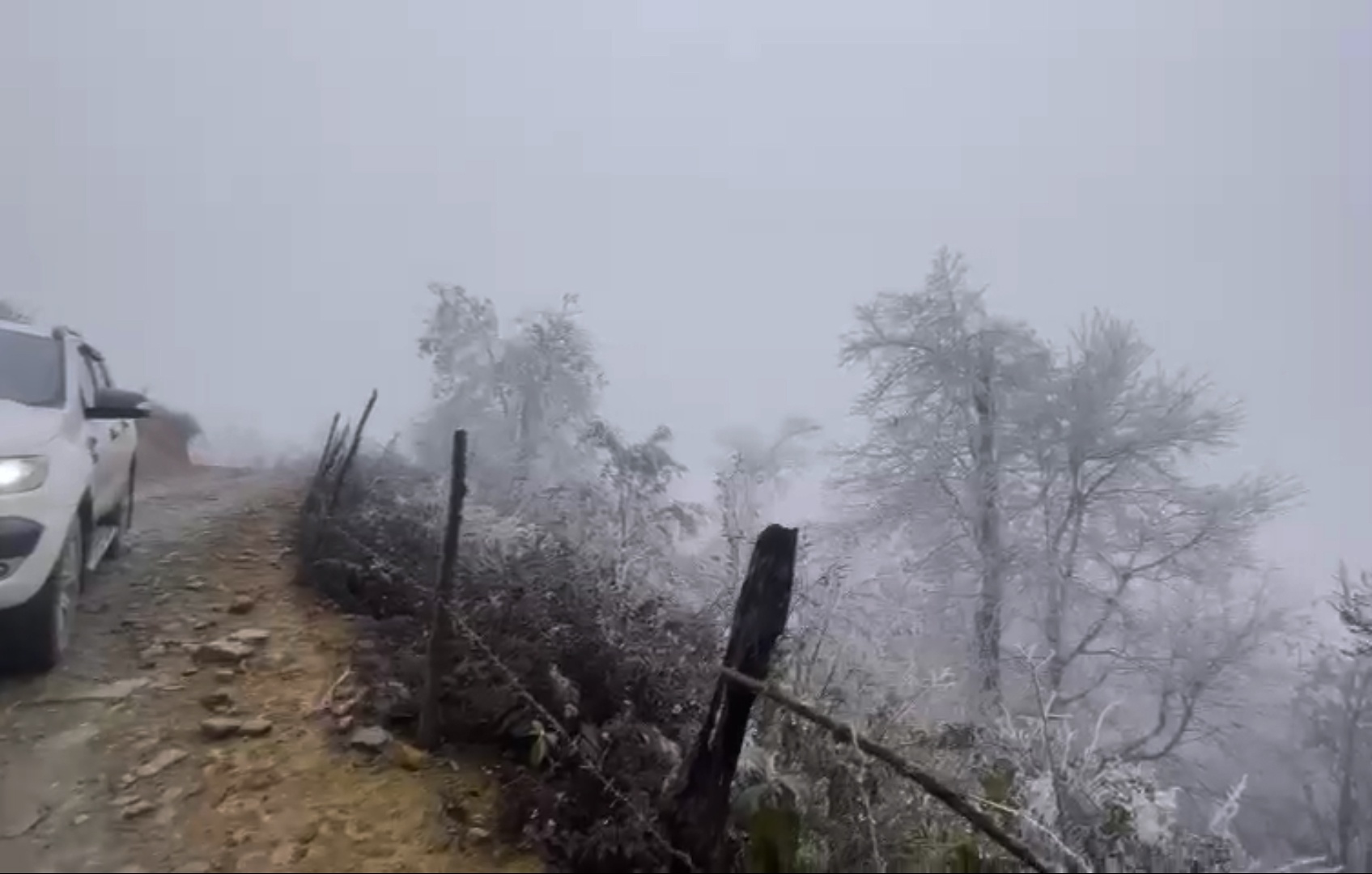 bang gia phu mau son y ty anh 11