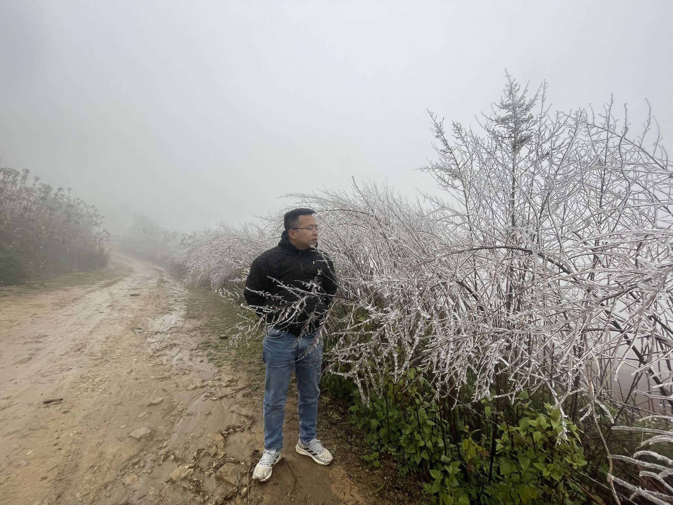 bang gia phu mau son y ty anh 13