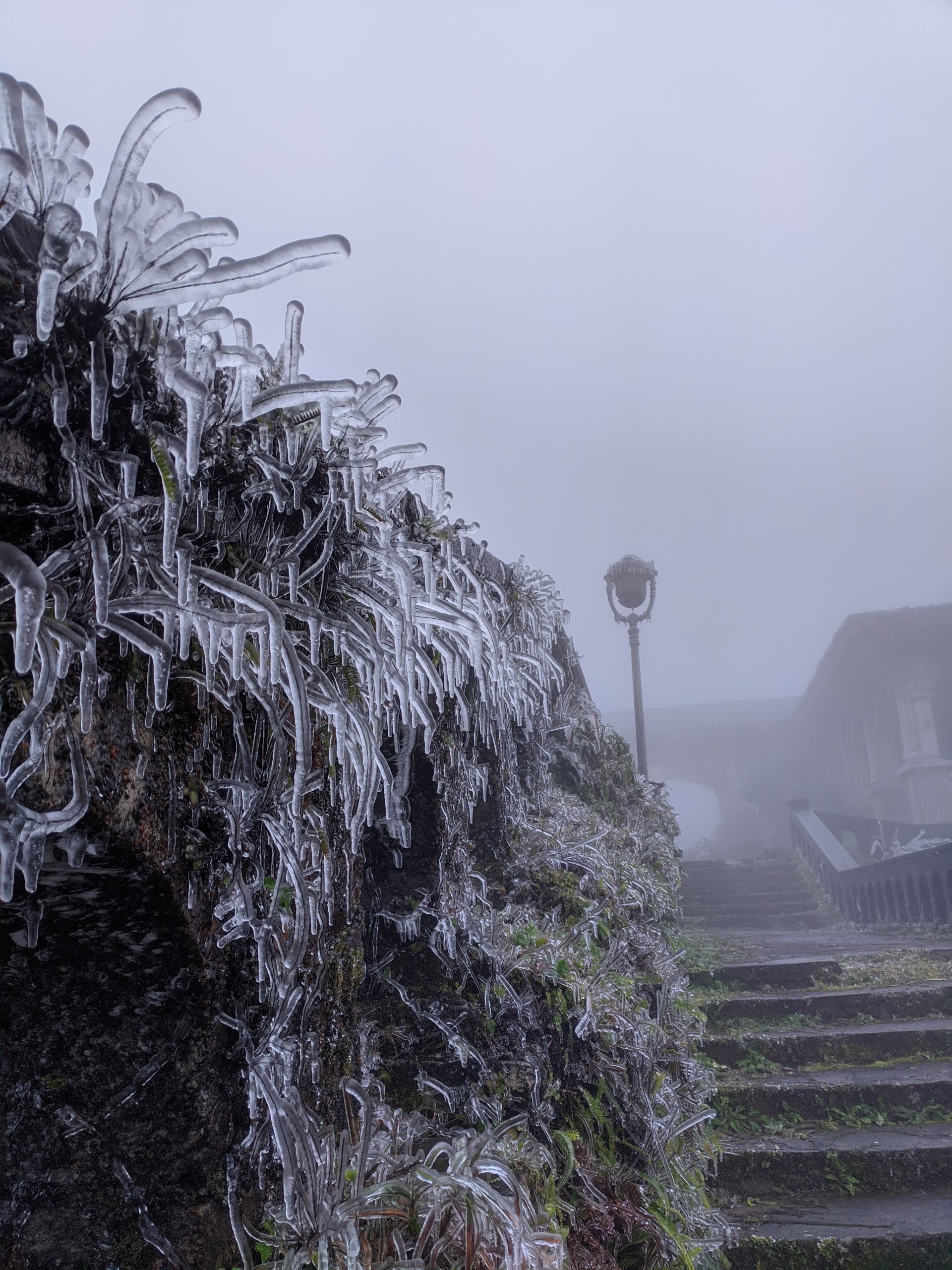 bang gia phu mau son y ty anh 9