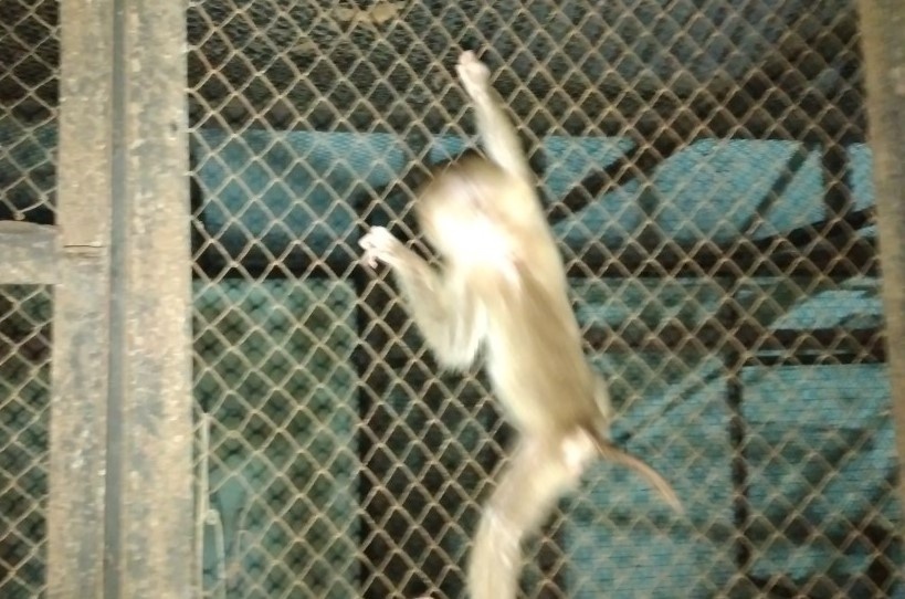 Khi tai nha dan o TP.HCM duoc dua ve tram cuu ho hinh anh