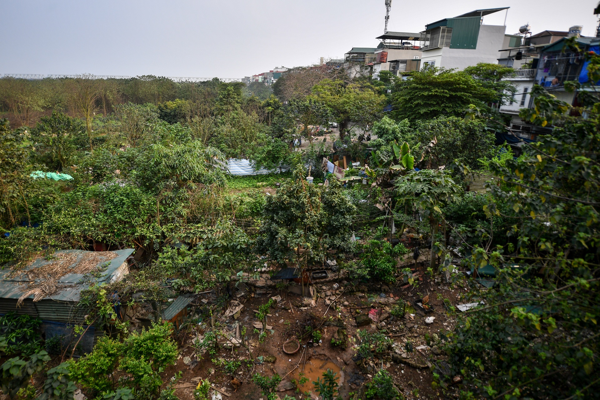 bai giua song Hong lam cong vien anh 11