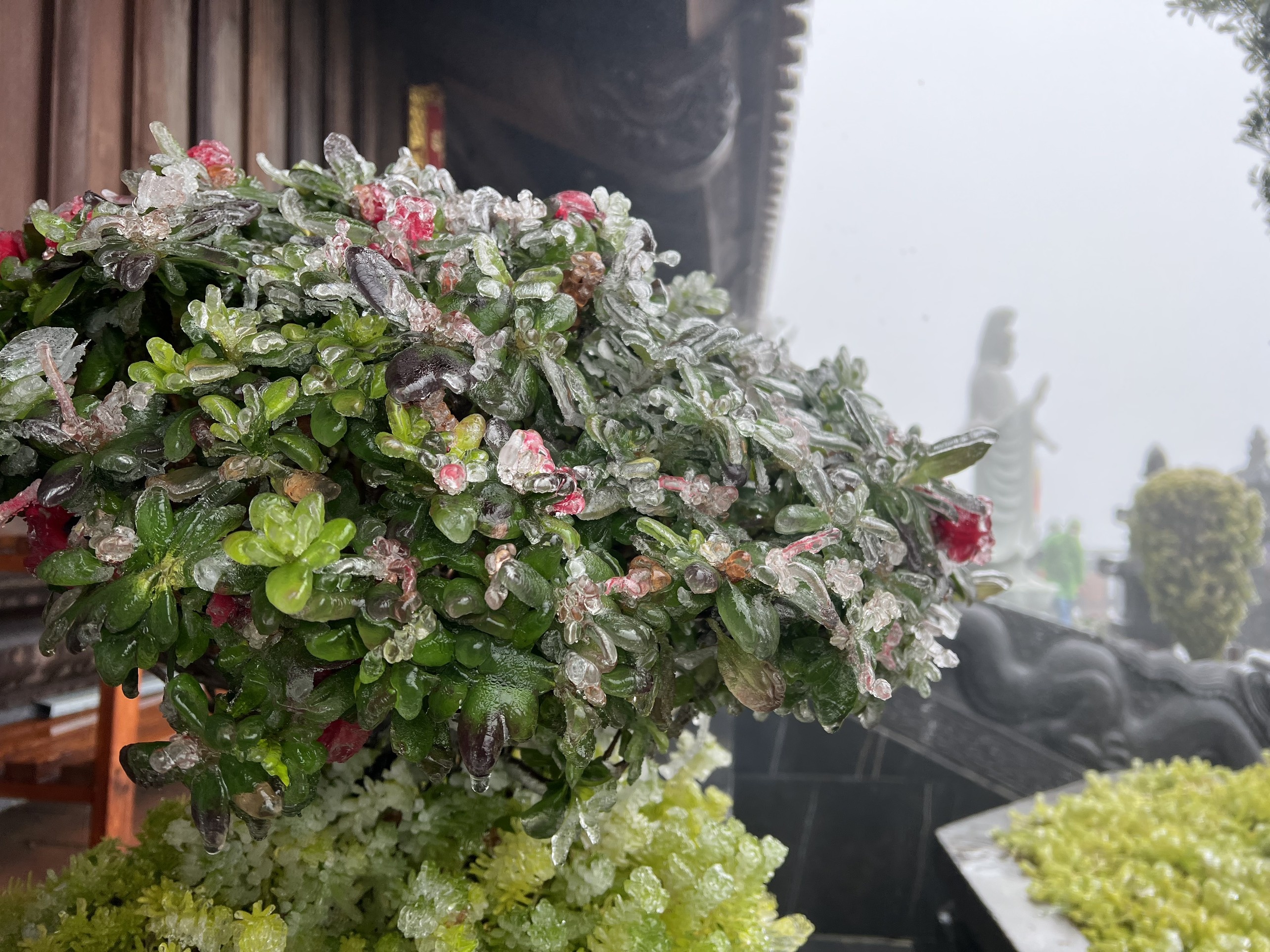 bang gia bao phu fansipan anh 2