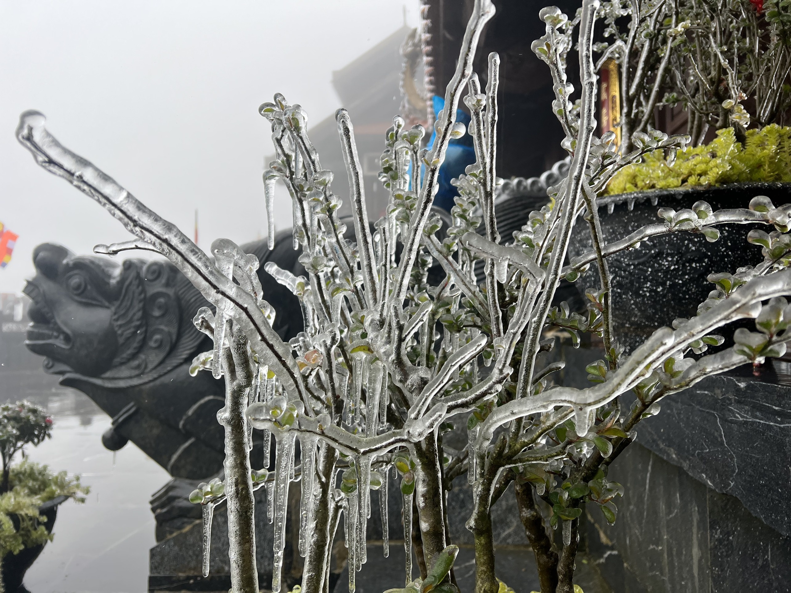 bang gia bao phu fansipan anh 5