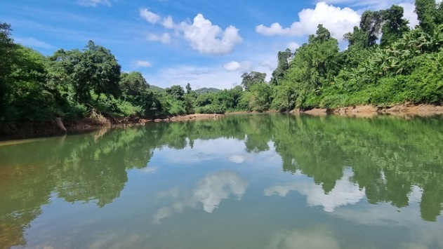 chet duoi o binh phuoc anh 2