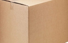 Su that thung carton nghi chua thi the tre so sinh o quan 7 hinh anh