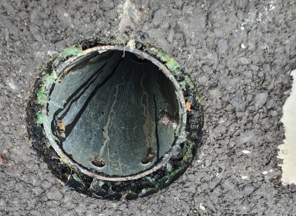 Da xac dinh ke trom nap chan rac cau Thu Thiem 2 hinh anh