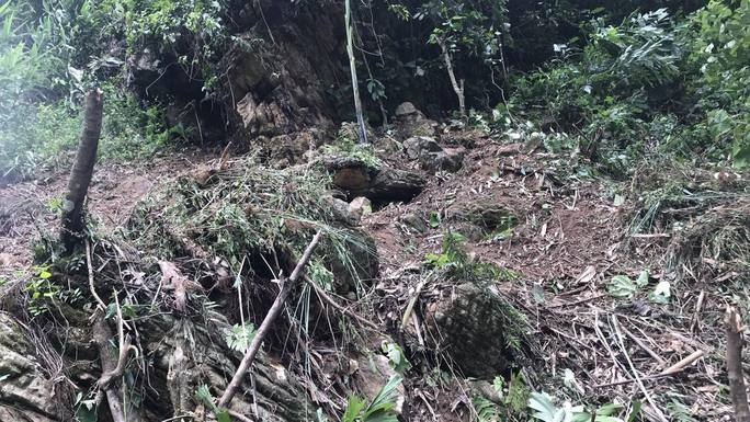 Da lan de chet nguoi phu nu dang lam co tren nuong hinh anh