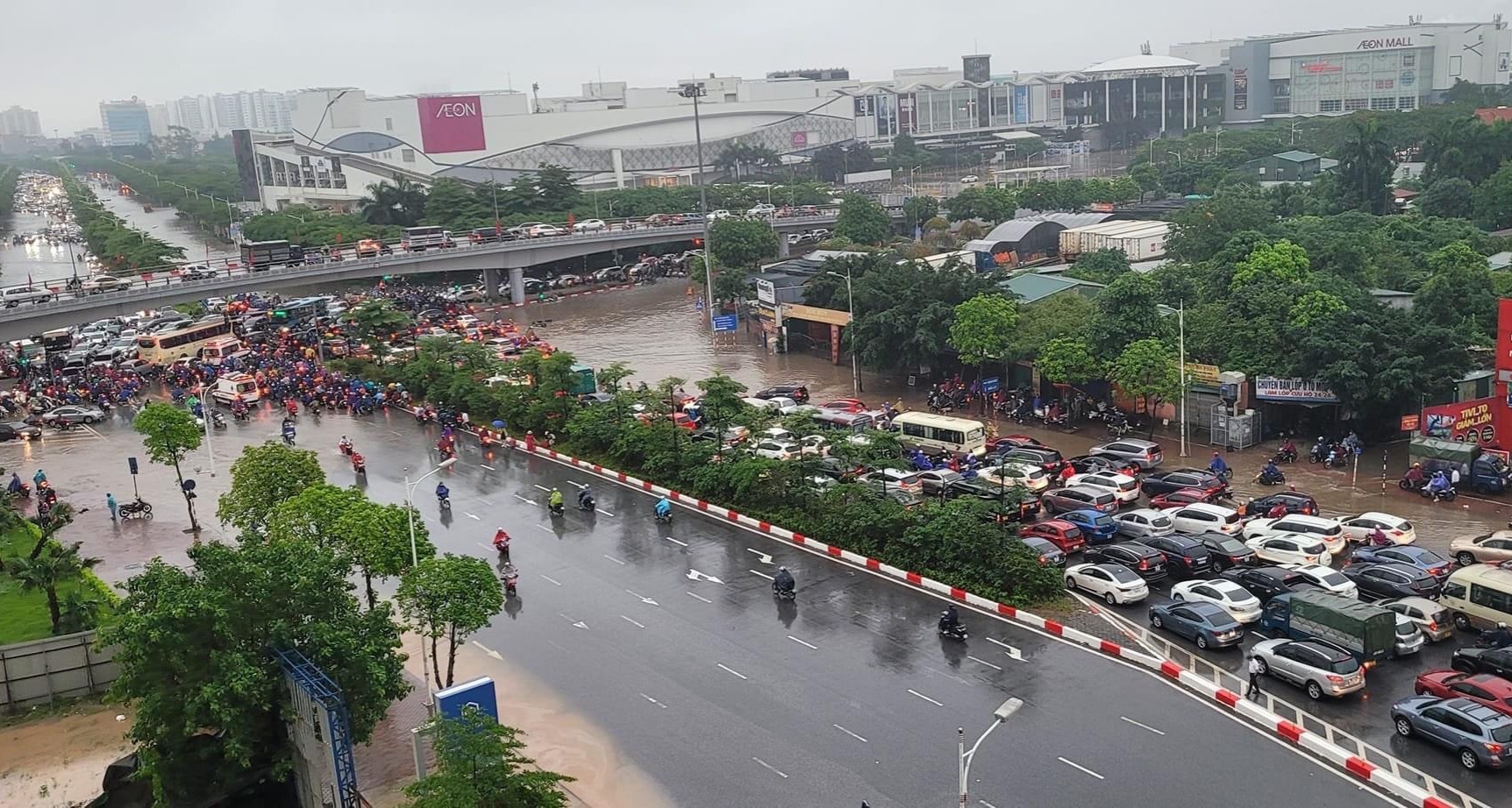 tac cau vinh tuy mua ngap anh 1