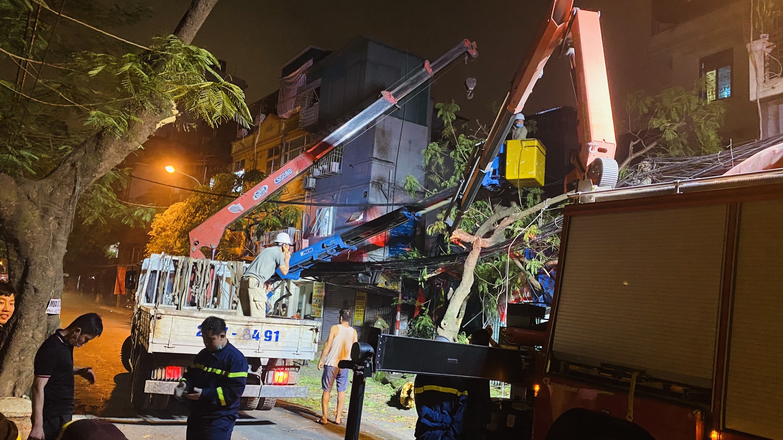 cay co thu de trung hoc sinh anh 1