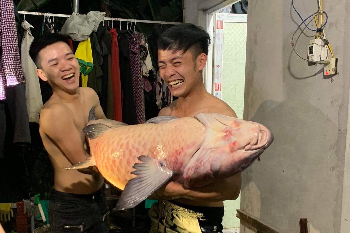 ca tram den 52 kg anh 2