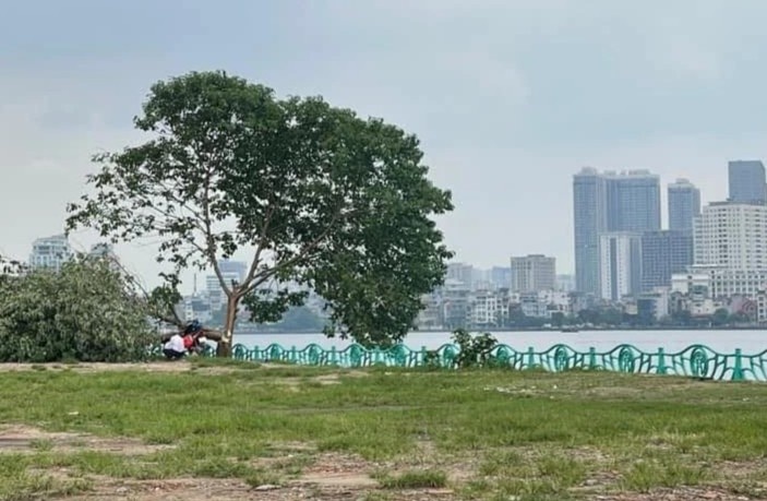 Khoanh khac 'cay co don' o ho Tay bi ha hinh anh