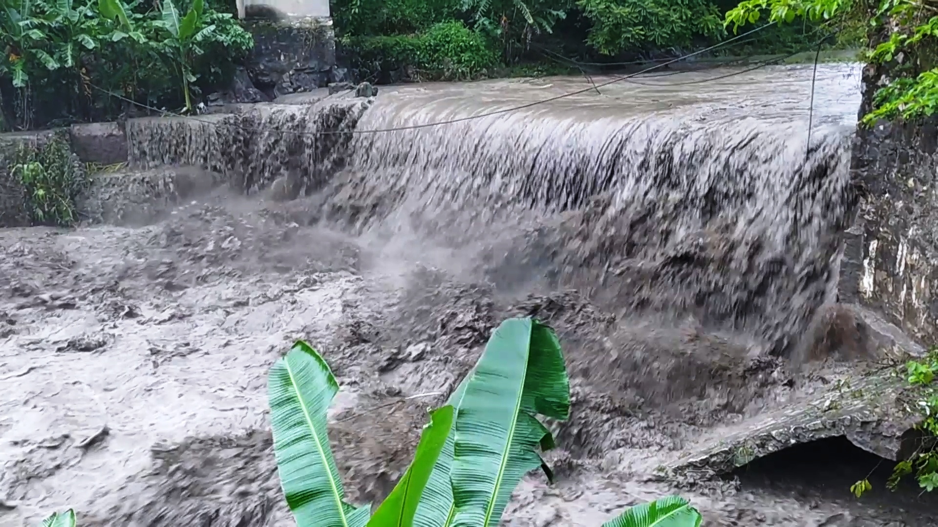 Lu quet cuon troi 4 nguoi hinh anh