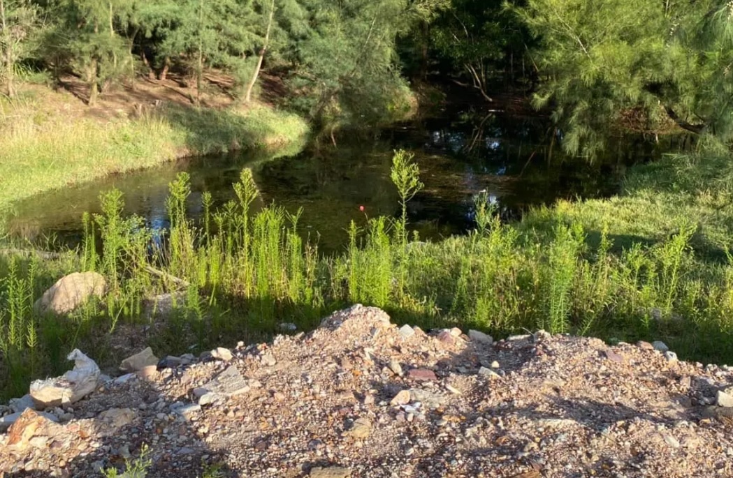 Thi the hai chi em duoi ho nuoc hinh anh