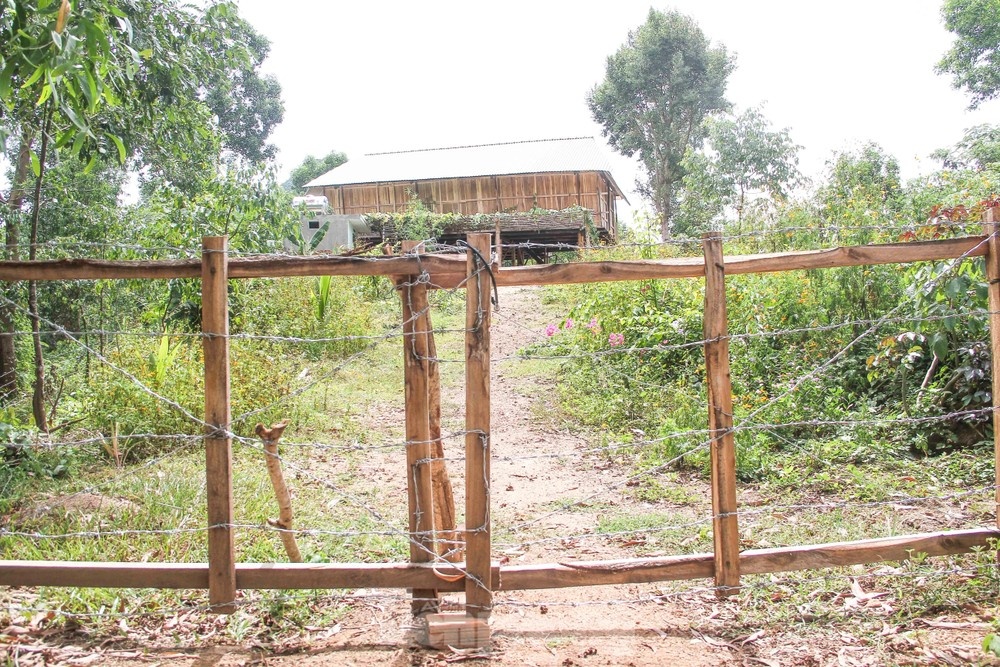 Chanh an len tieng khi vo bi xu phat vi lan chiem dat rung phong ho hinh anh