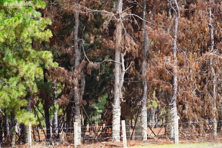 du an san golf dak doa anh 1