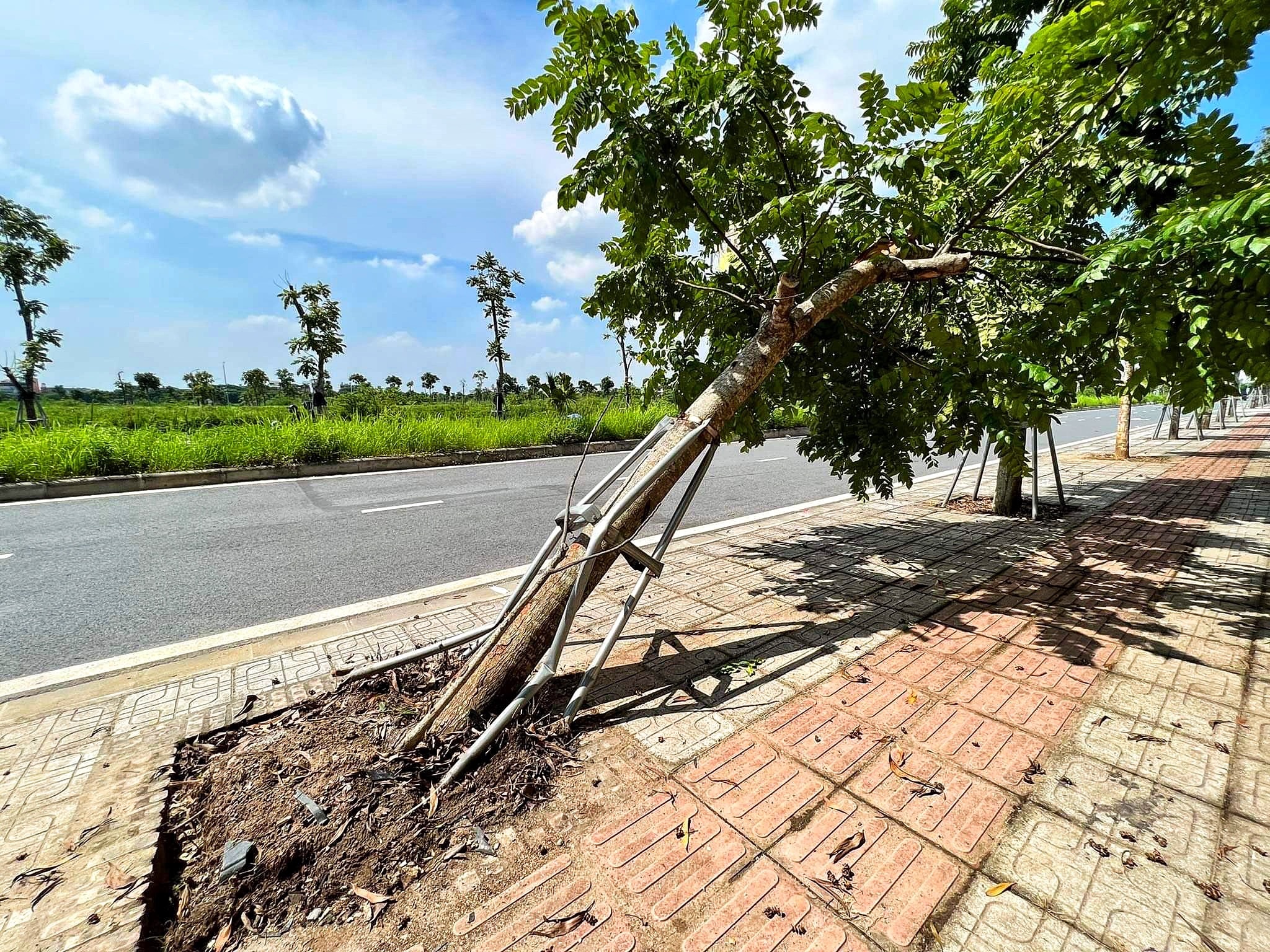 chu xe ferrari len tieng vu bi dam anh 2