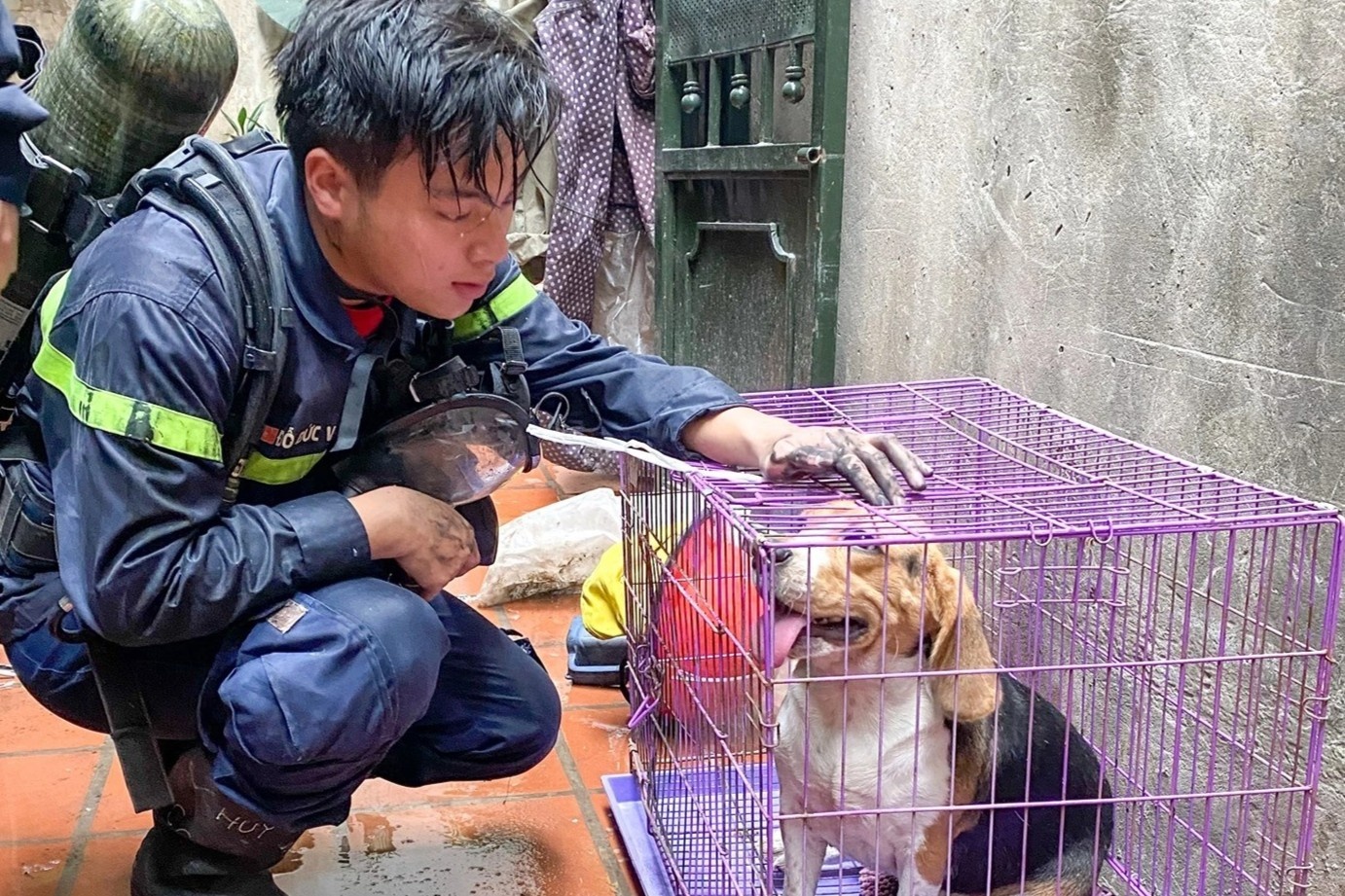Dong tin nhan 'bao chay' khong con duoc hoi am hinh anh