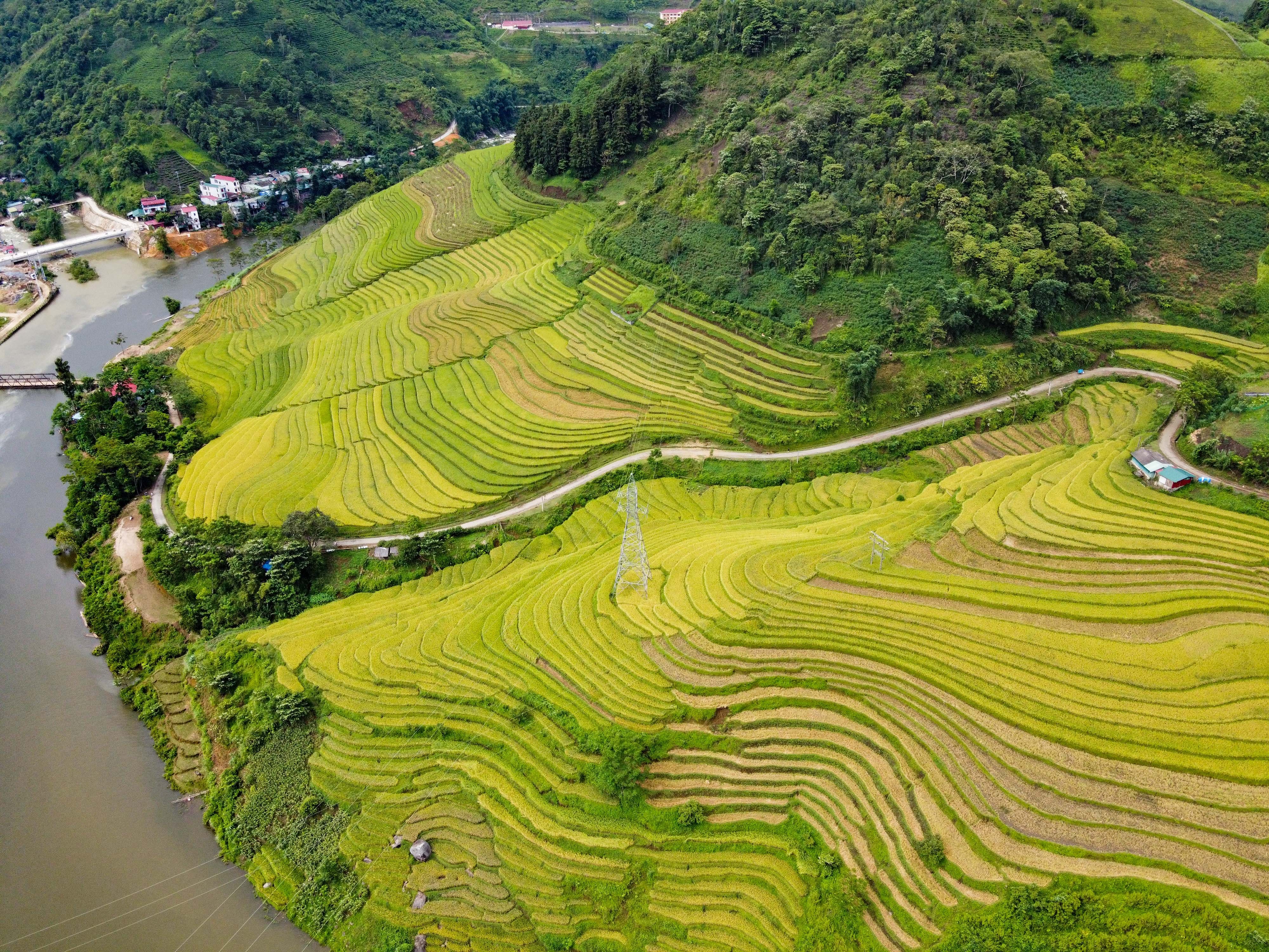 lua chin y ty anh 35