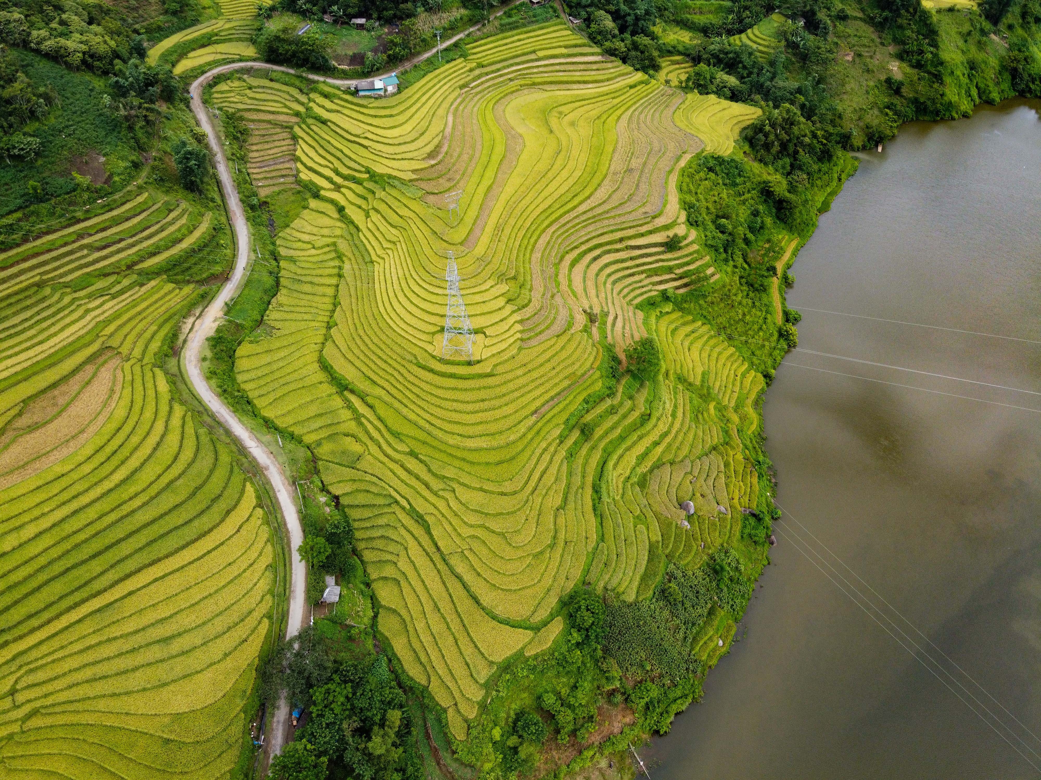 lua chin y ty anh 33