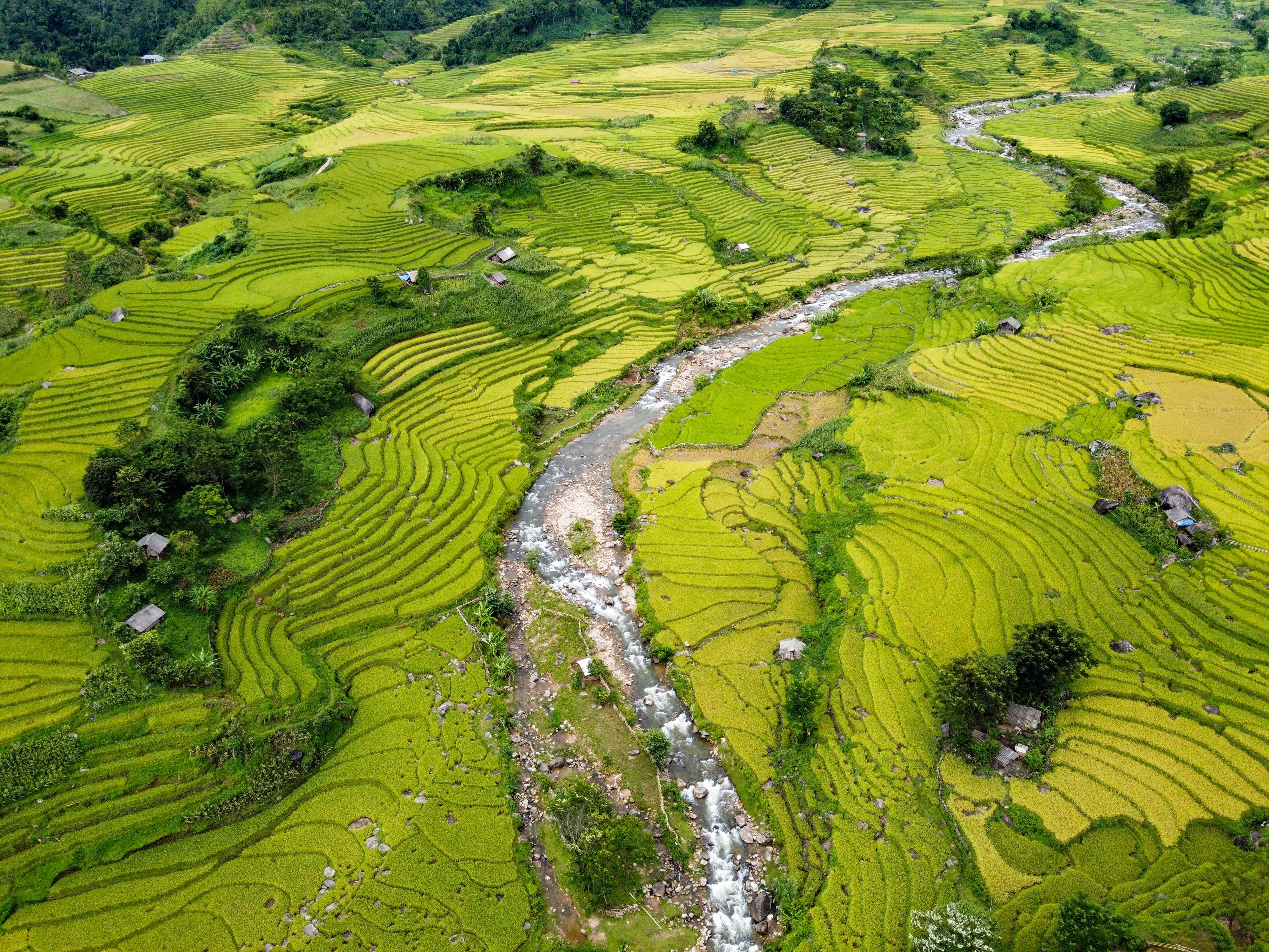 lua chin y ty anh 11