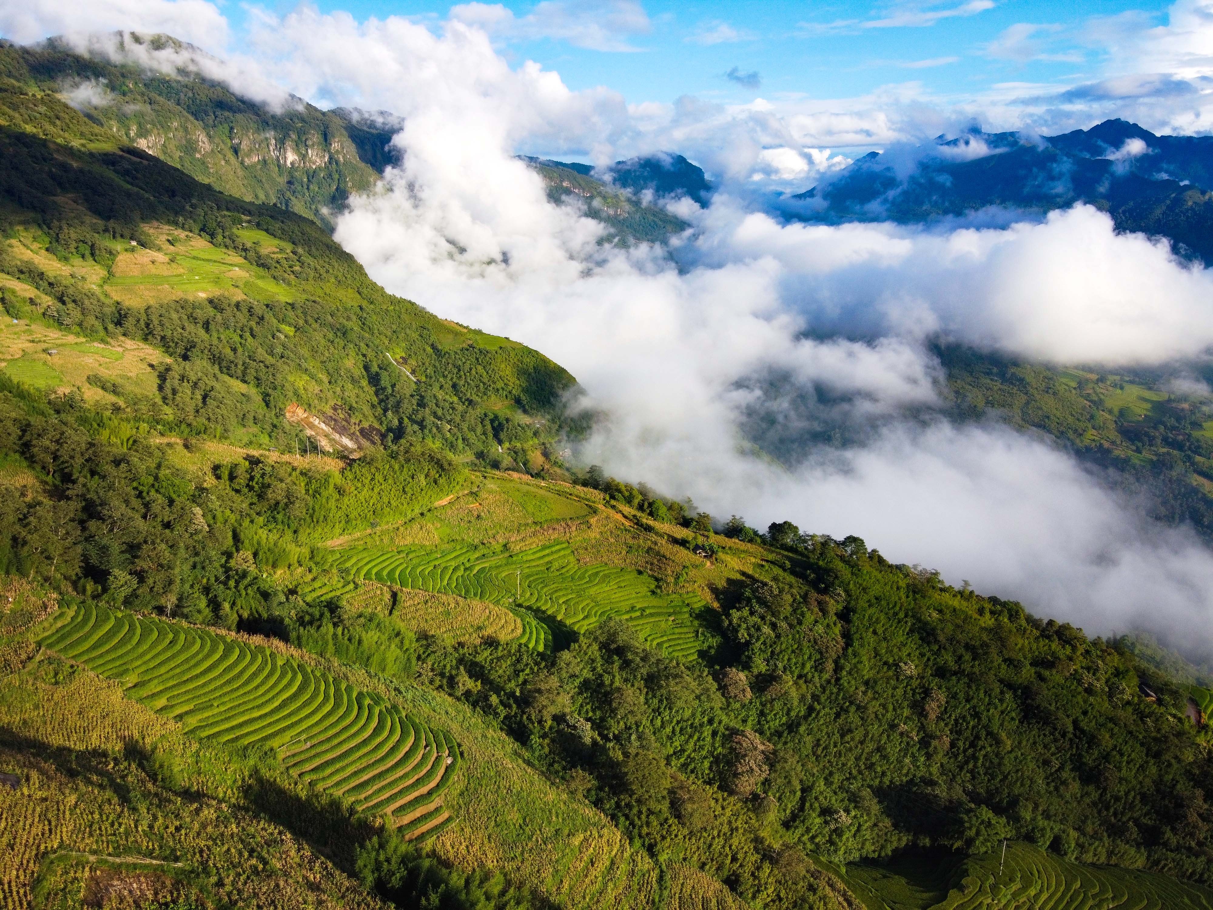 lua chin y ty anh 16