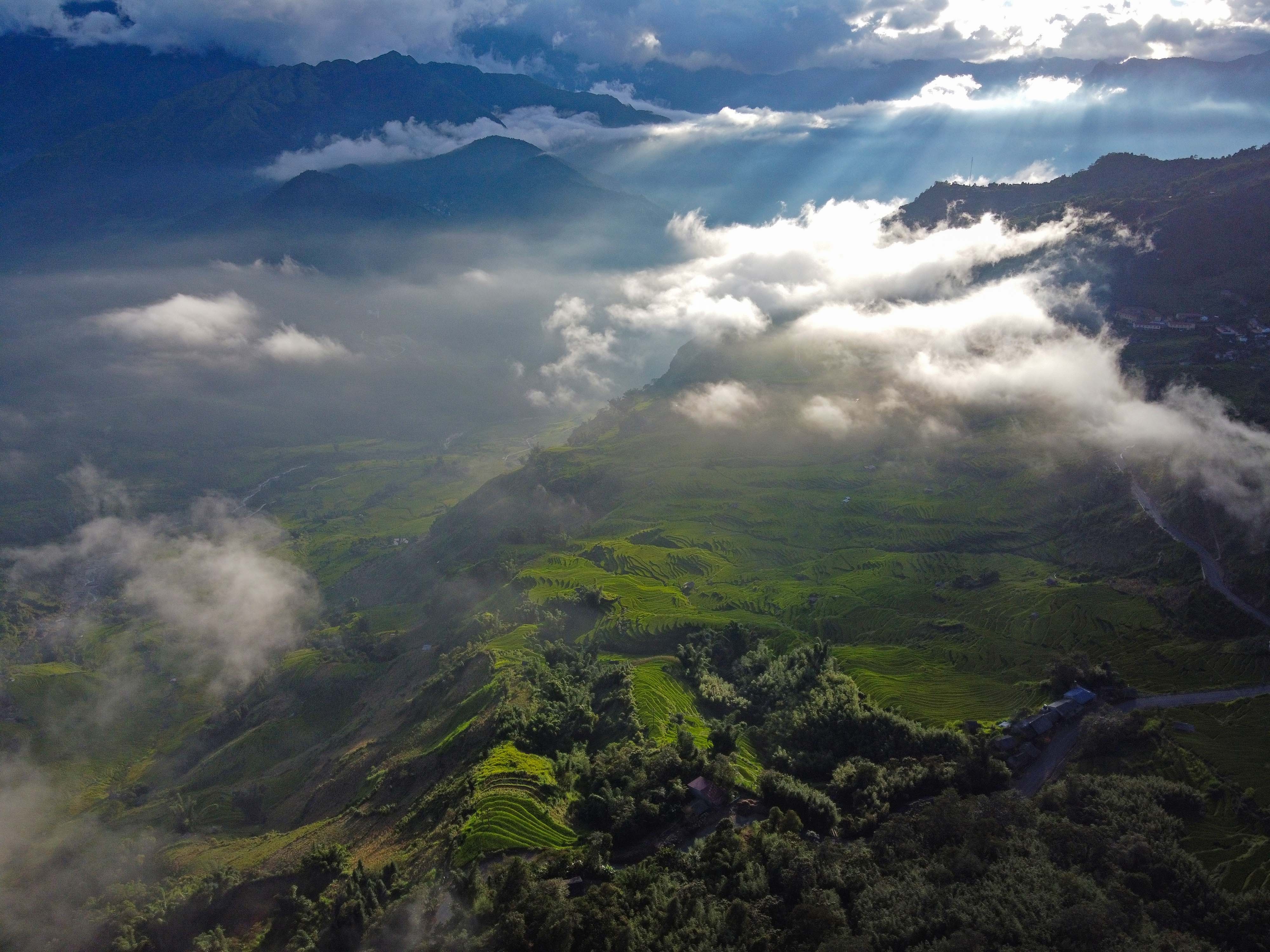 lua chin y ty anh 13