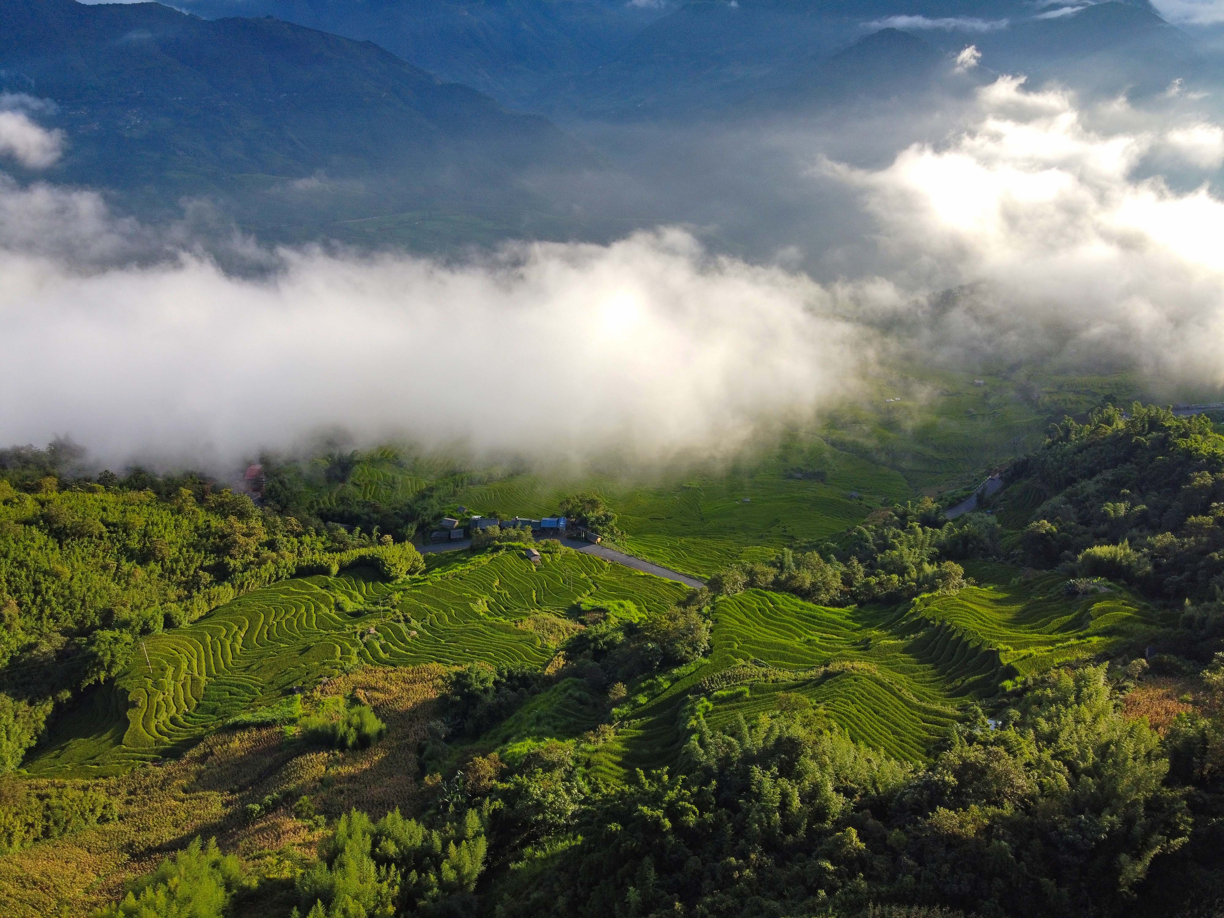 lua chin y ty anh 15