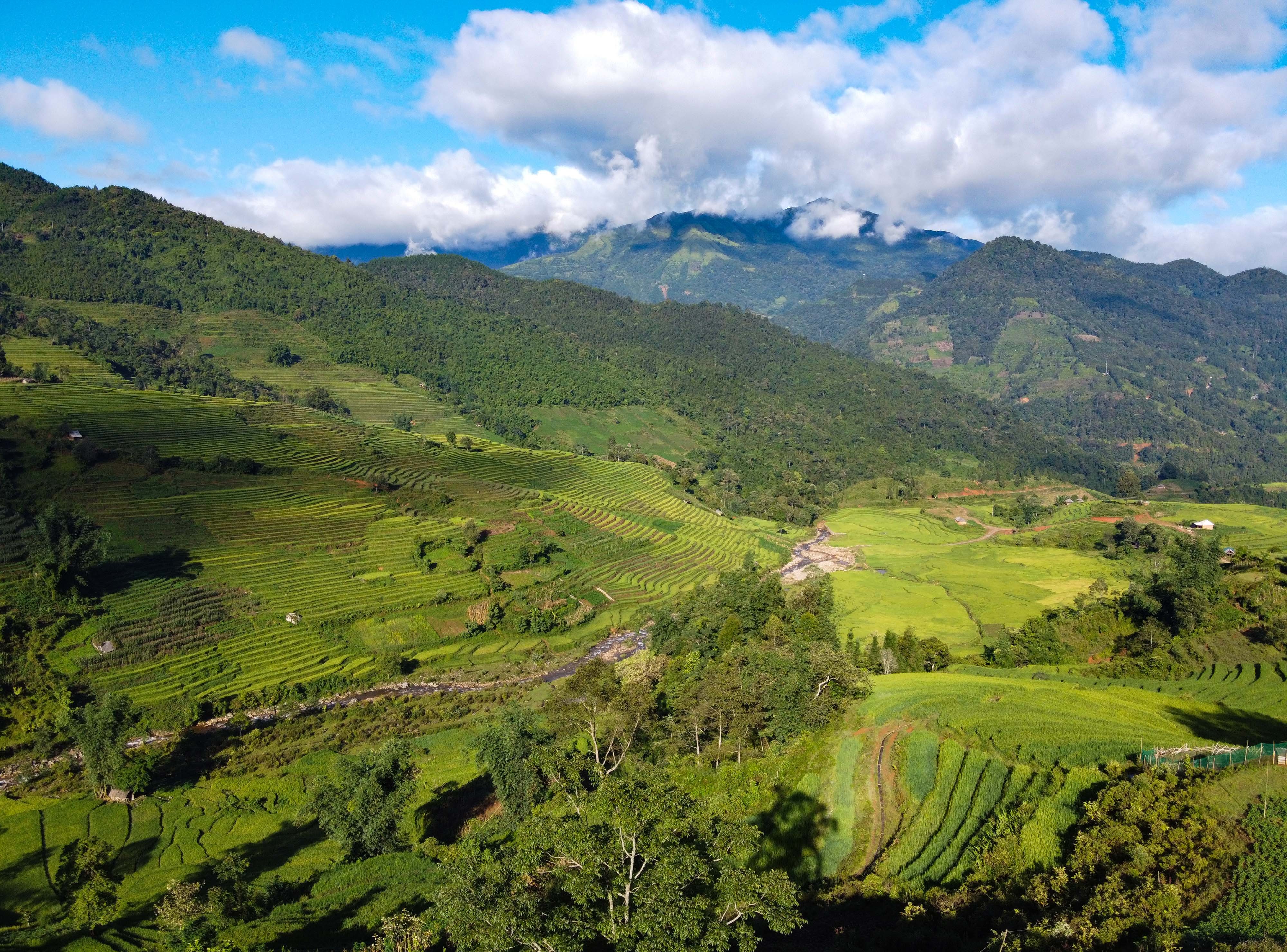 lua chin y ty anh 17