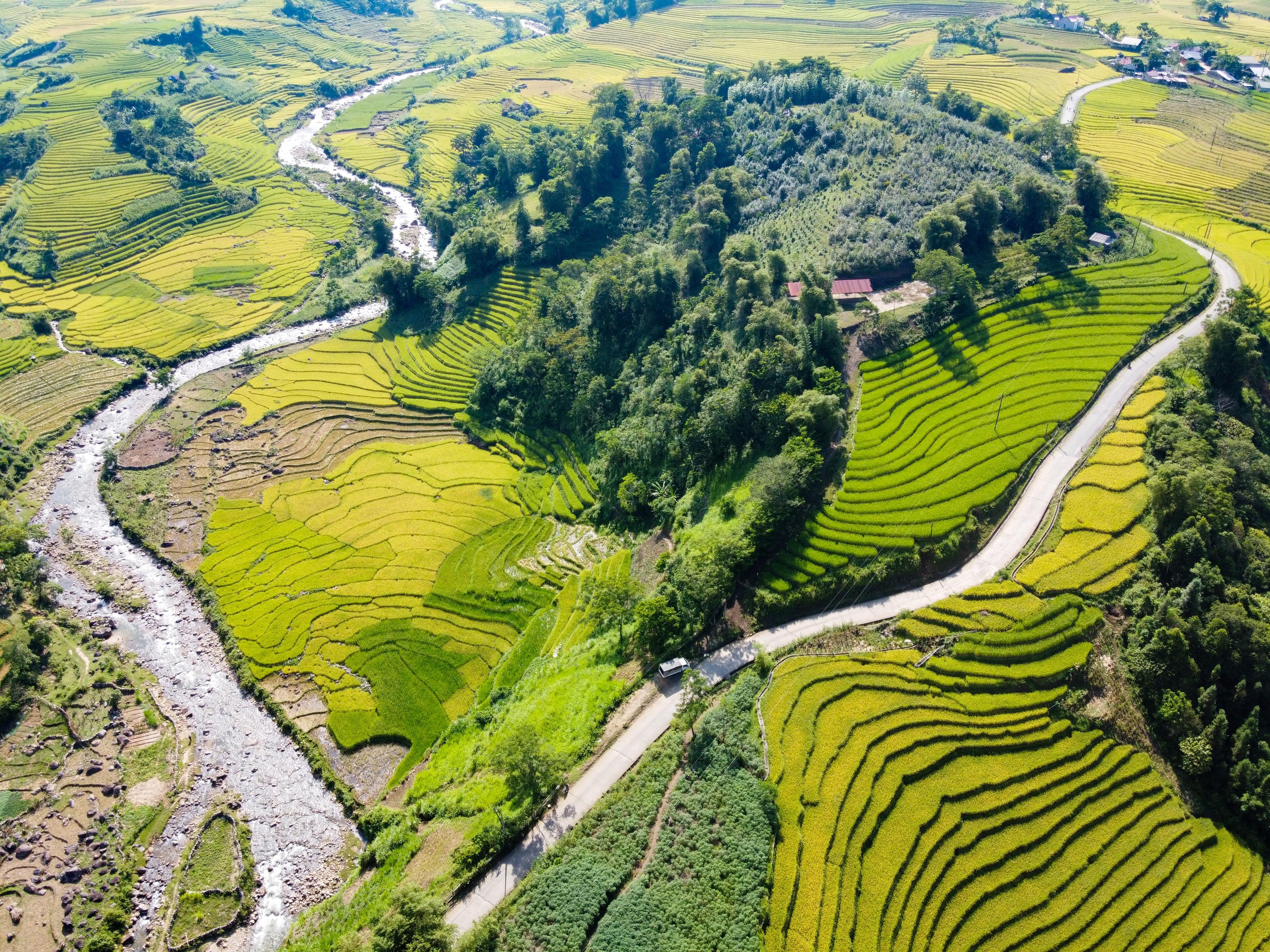 lua chin y ty anh 32