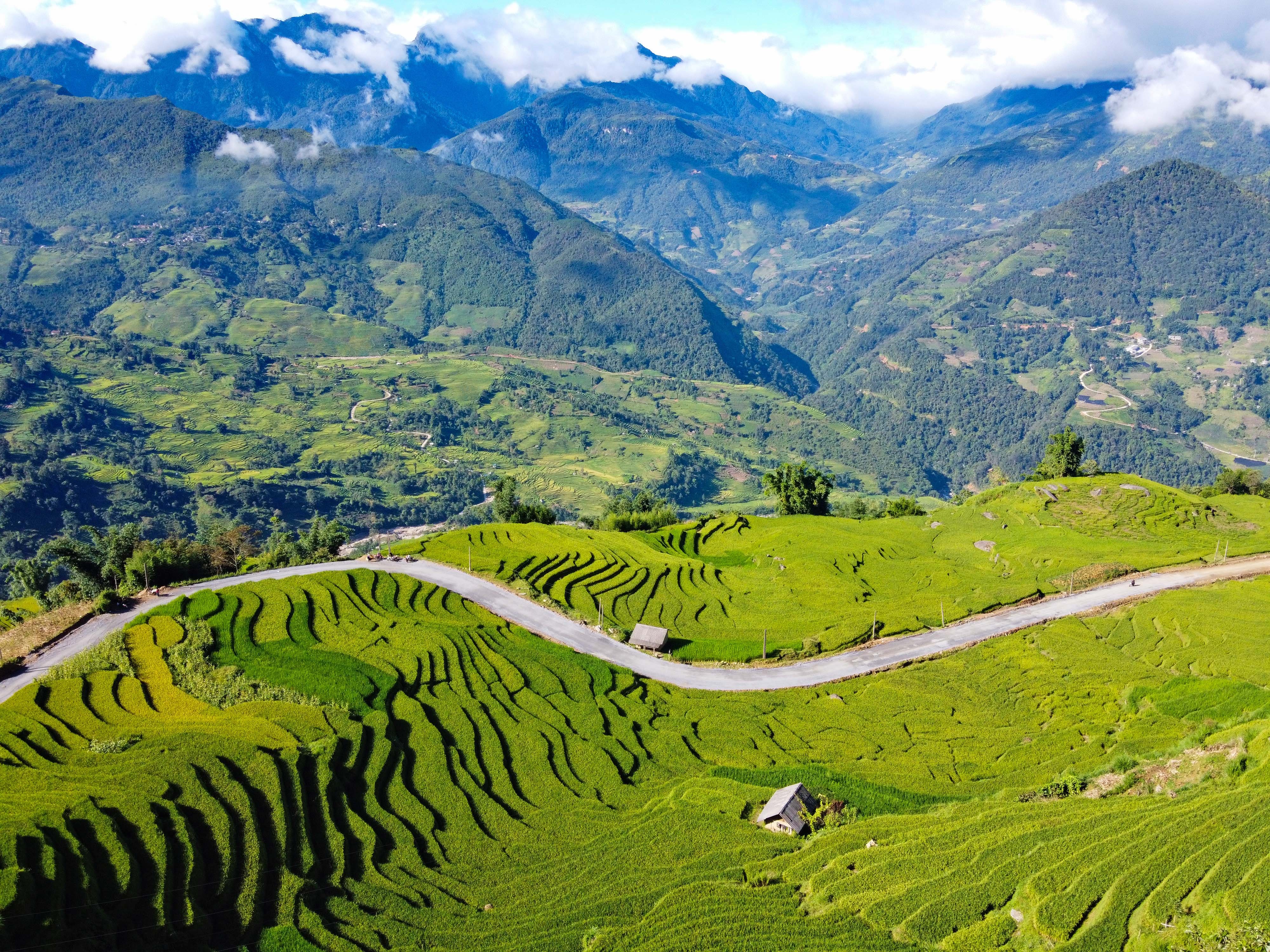 lua chin y ty anh 25