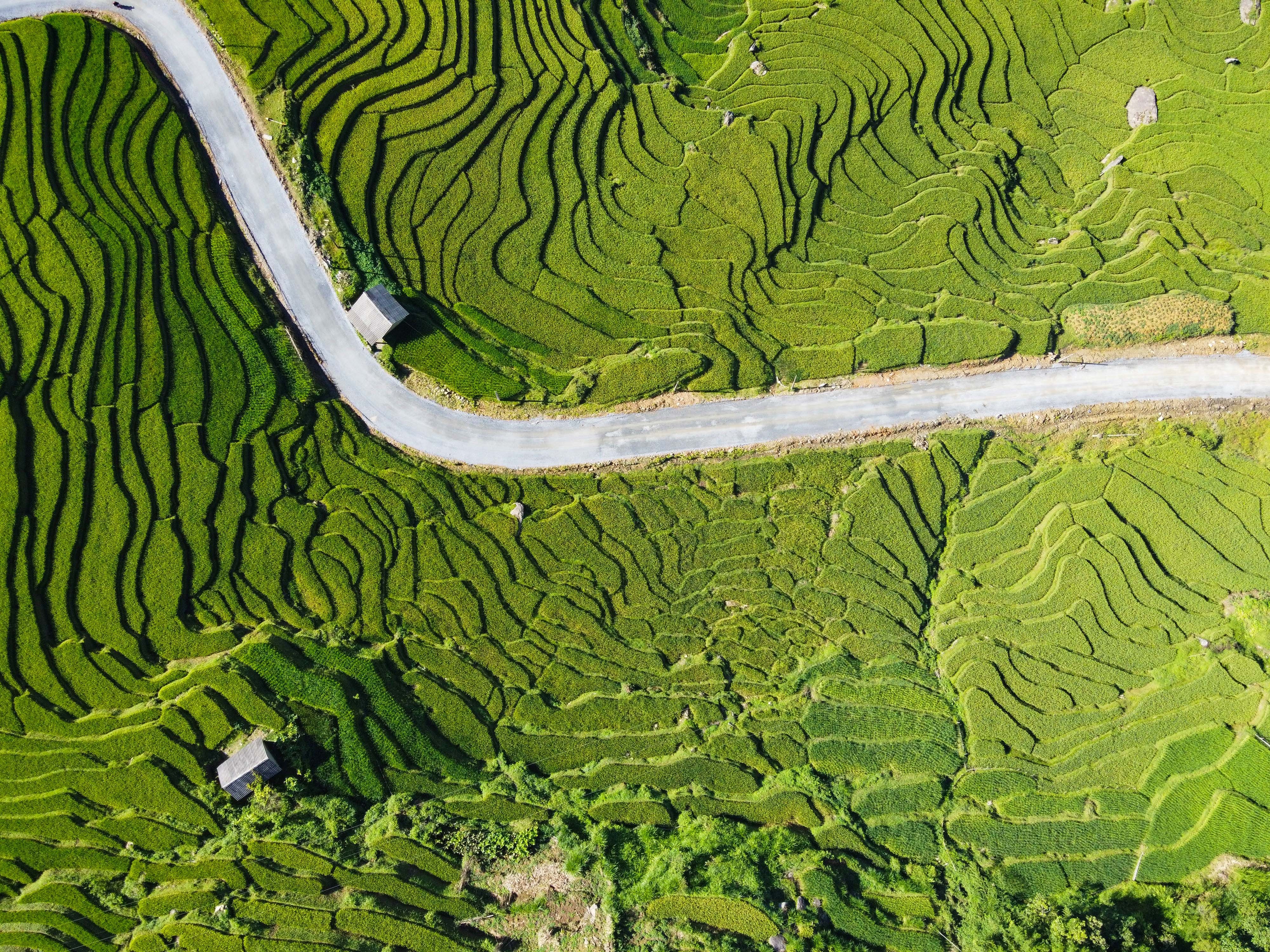 lua chin y ty anh 27