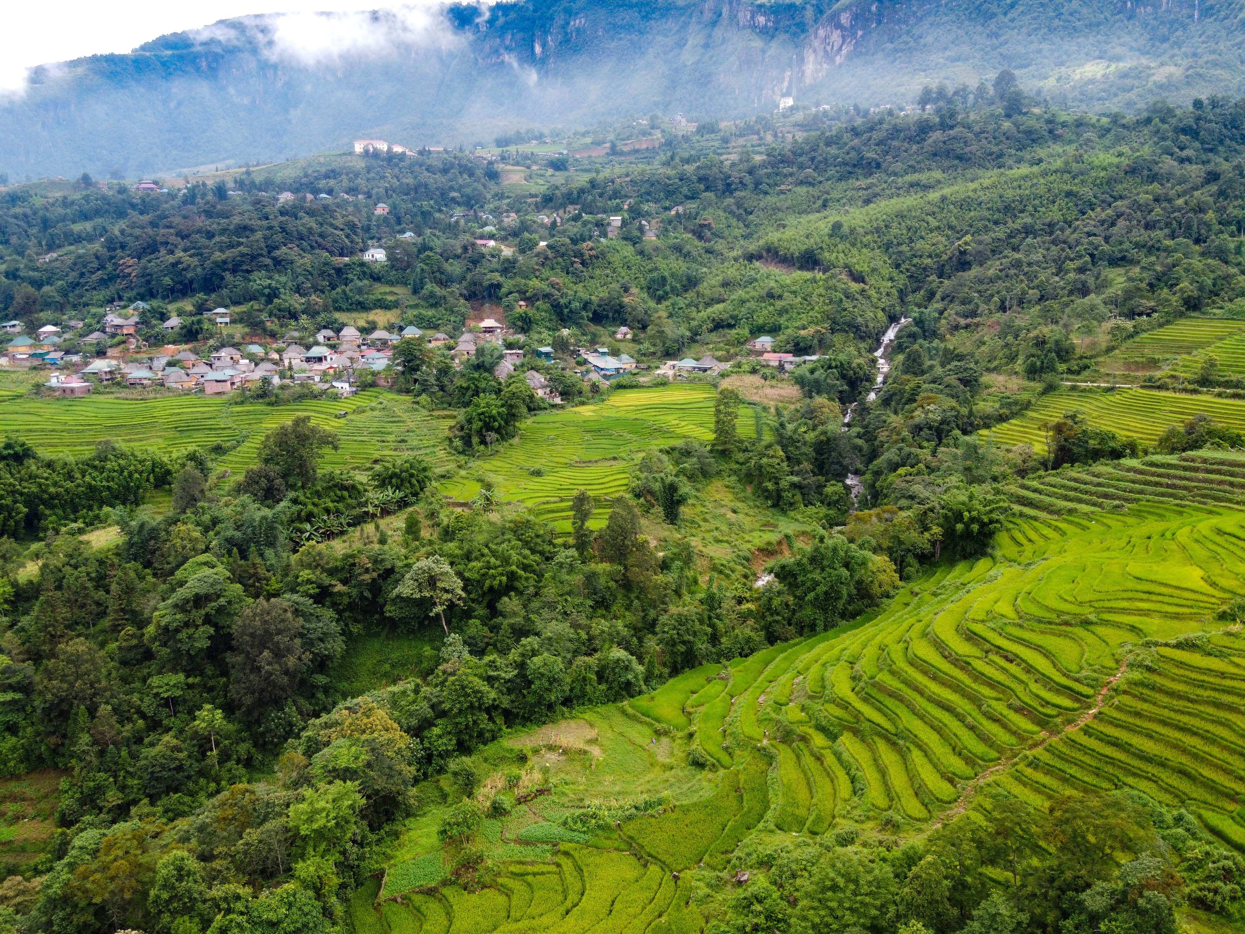 lua chin y ty anh 21