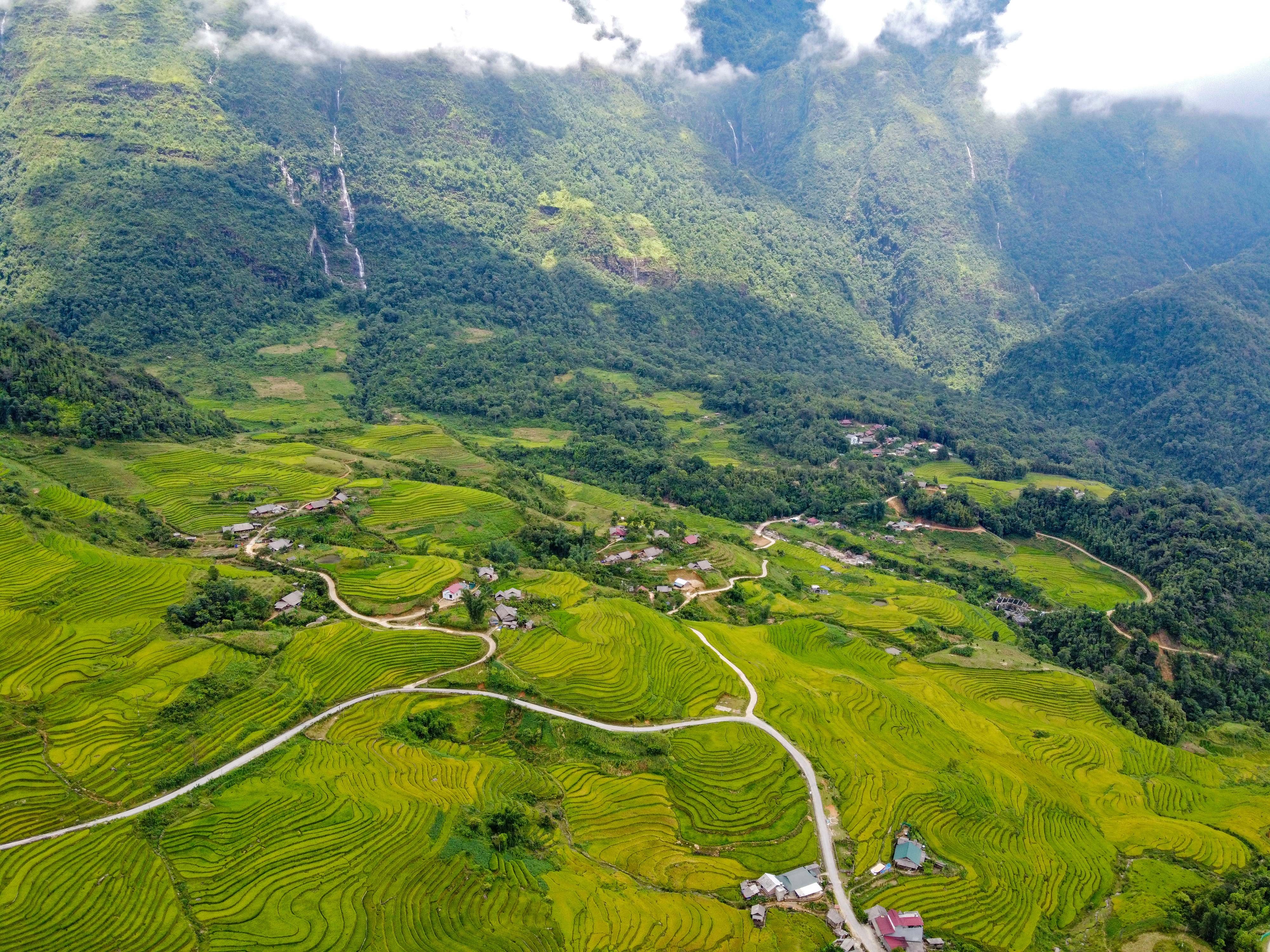 lua chin y ty anh 36