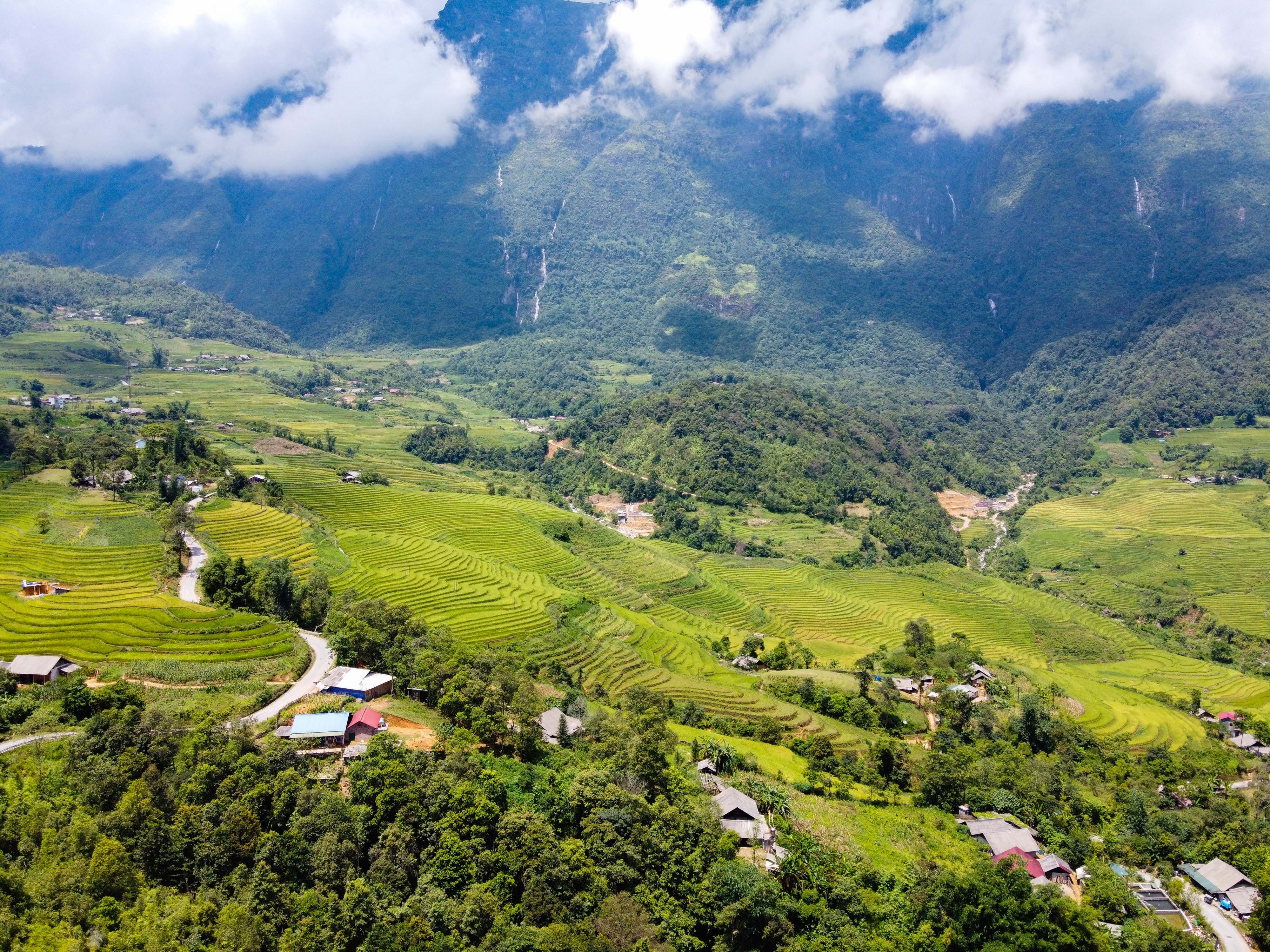 lua chin y ty anh 12