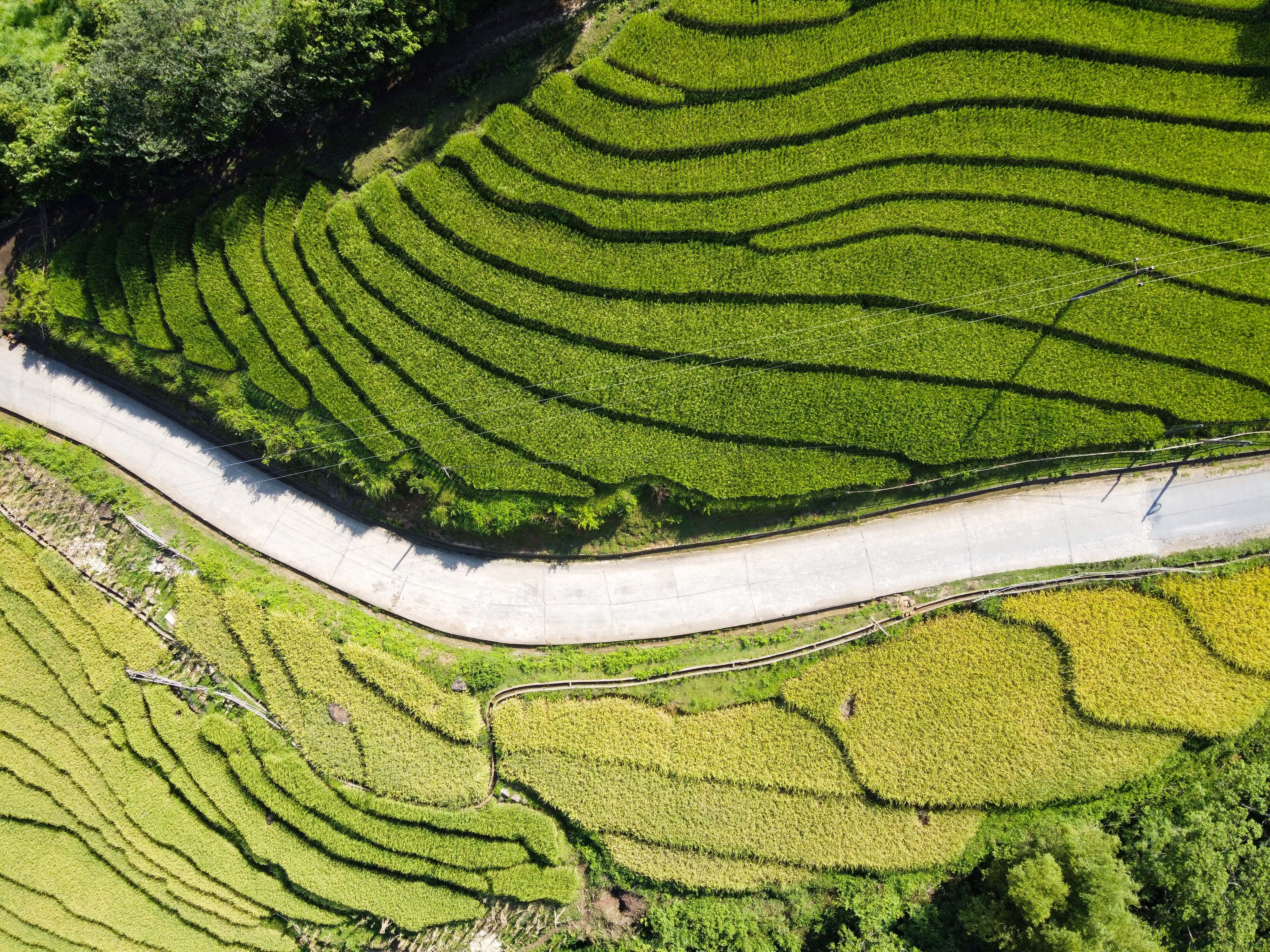 lua chin y ty anh 31