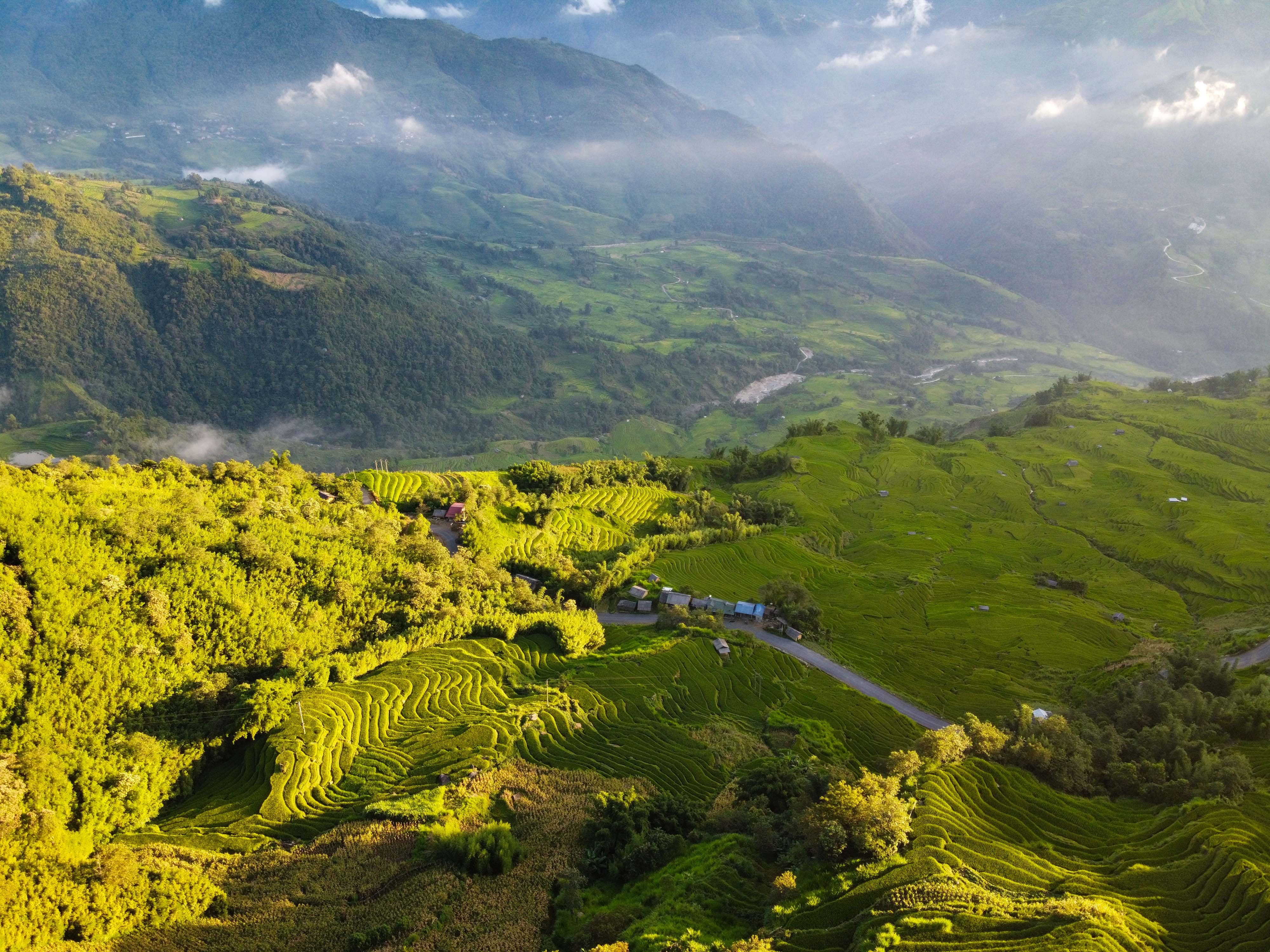 lua chin y ty anh 18