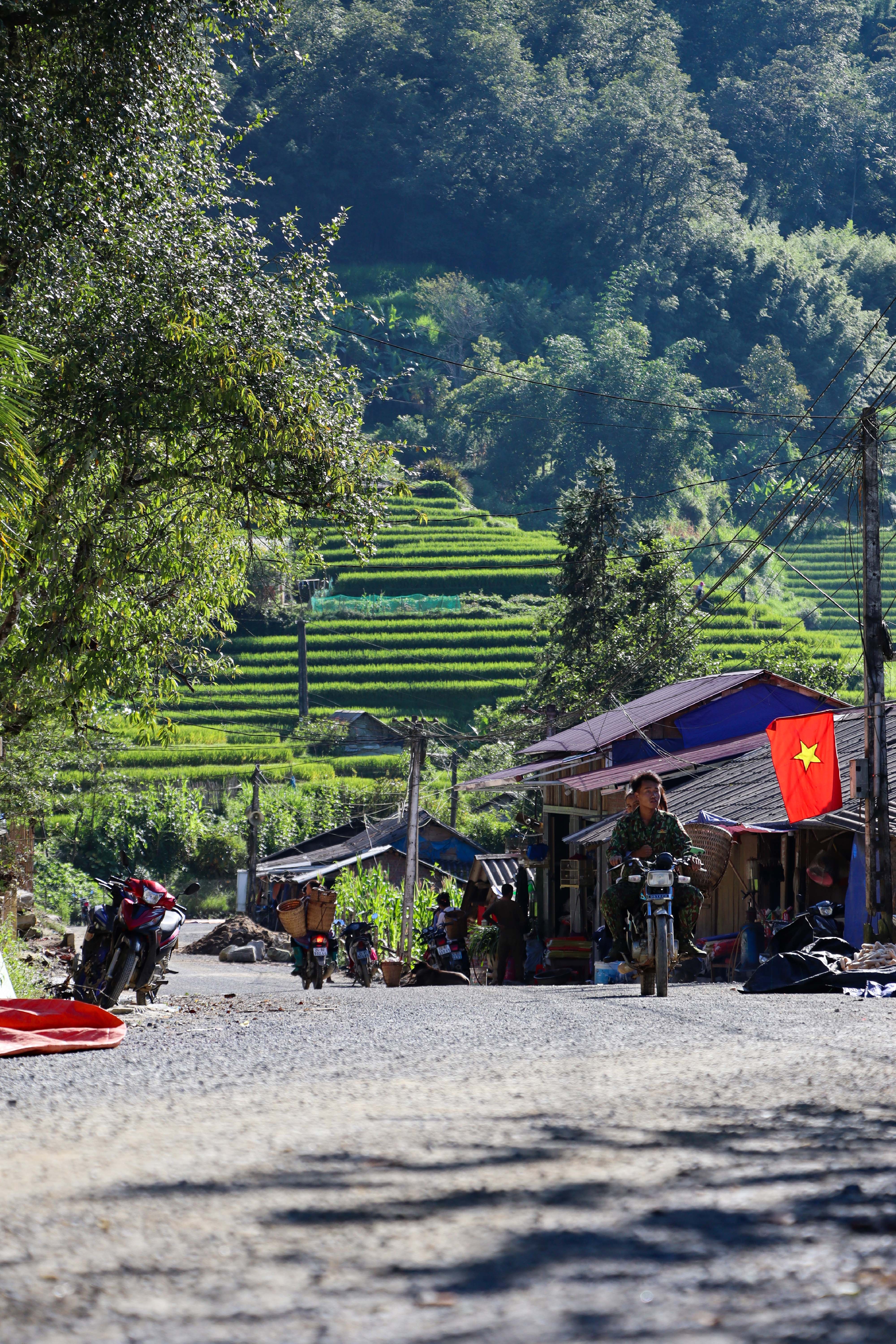 lua chin y ty anh 23