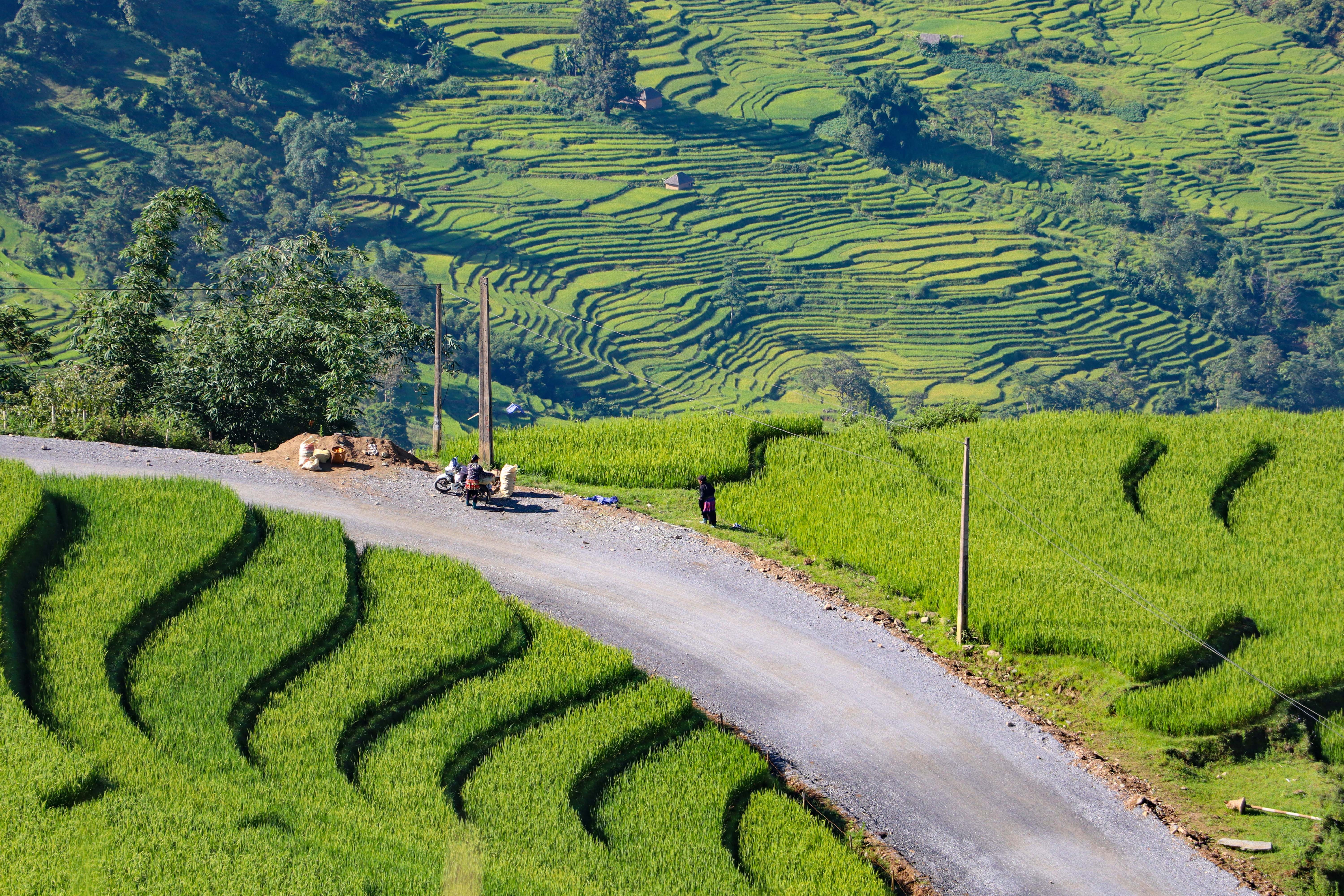 lua chin y ty anh 26